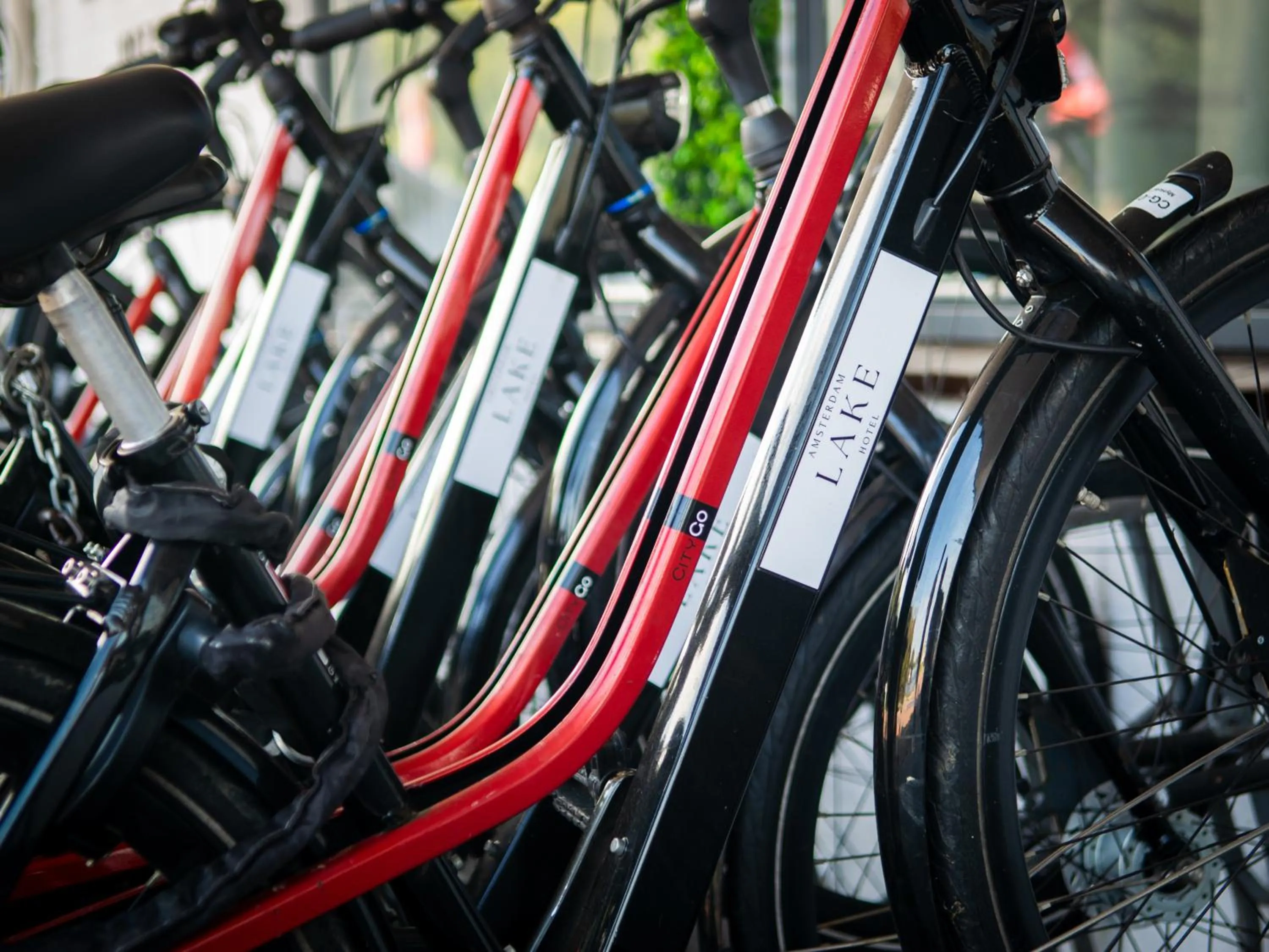 Cycling in Amsterdam Lake Hotel