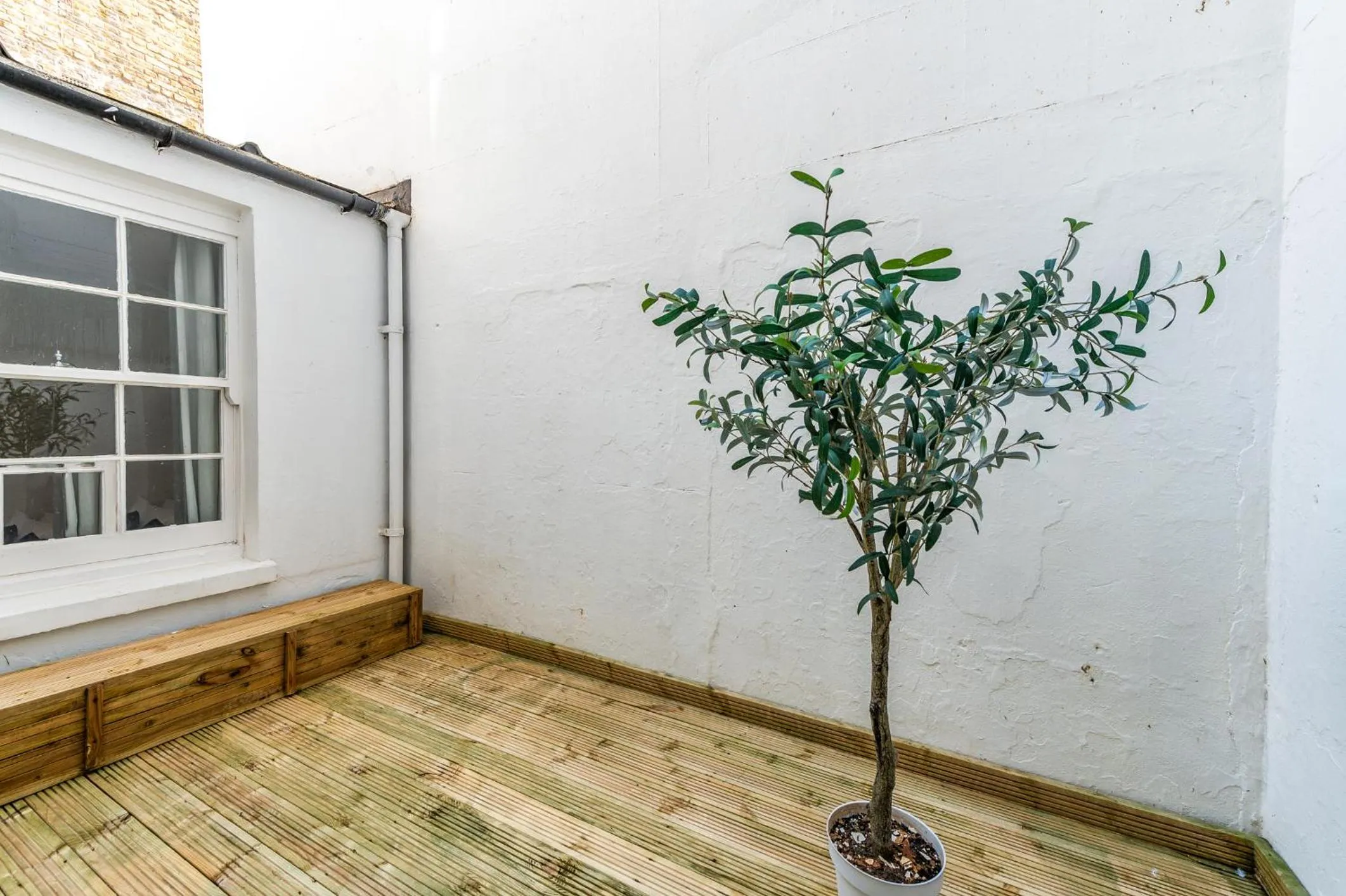 Garden in Paddington by CAPITAL