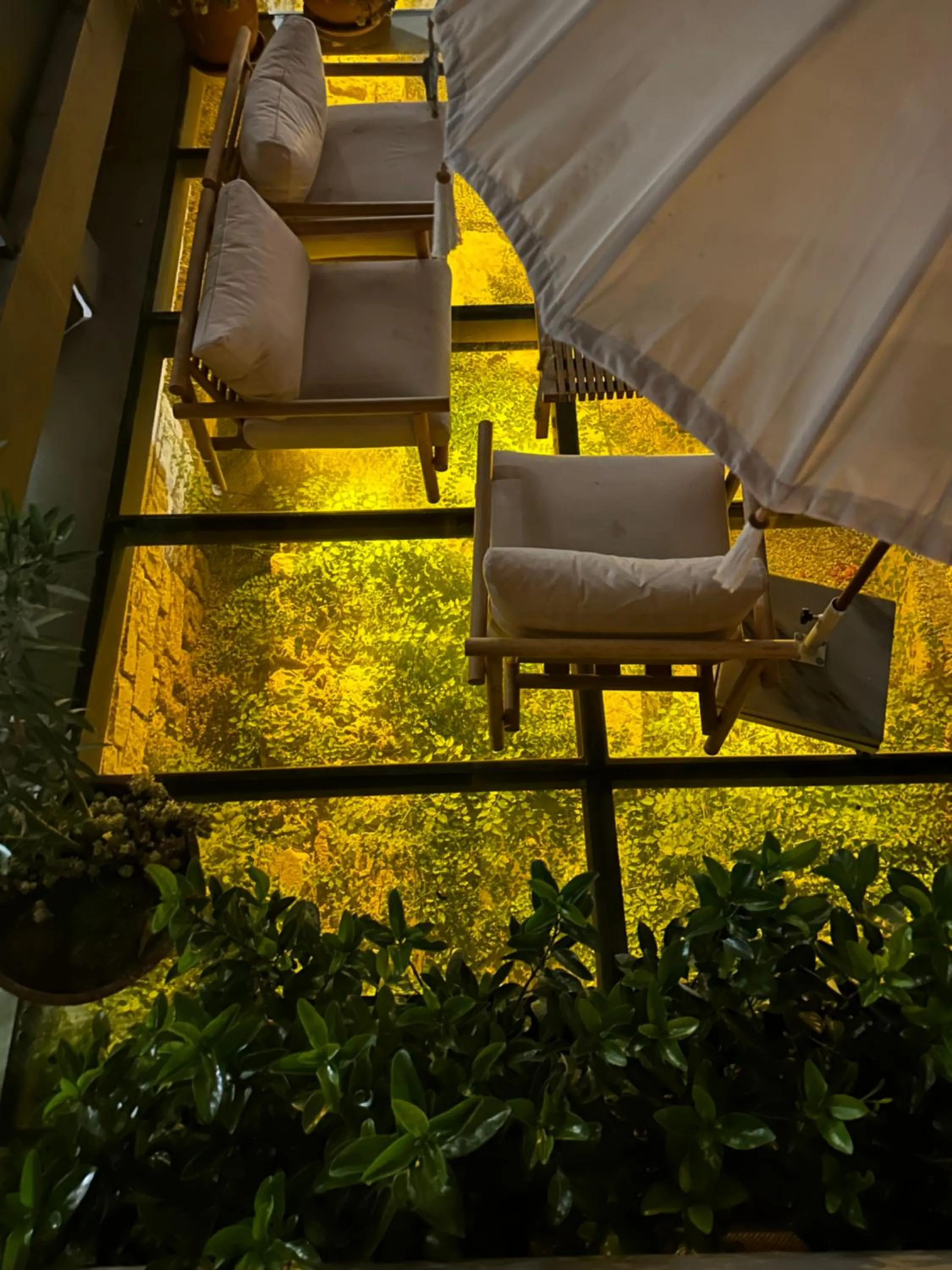 Garden in 6 ROOMS BY AZUMARE