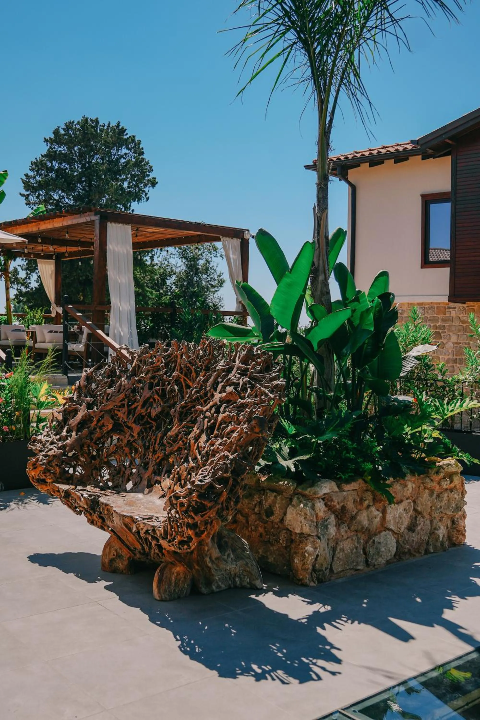 Garden in 6 ROOMS BY AZUMARE