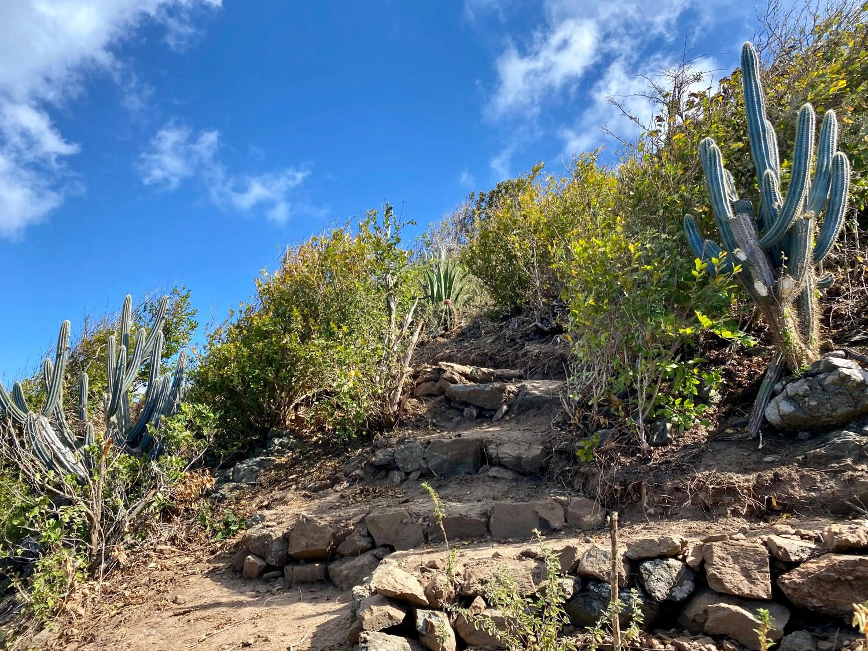 Hiking in The Aerial, BVI