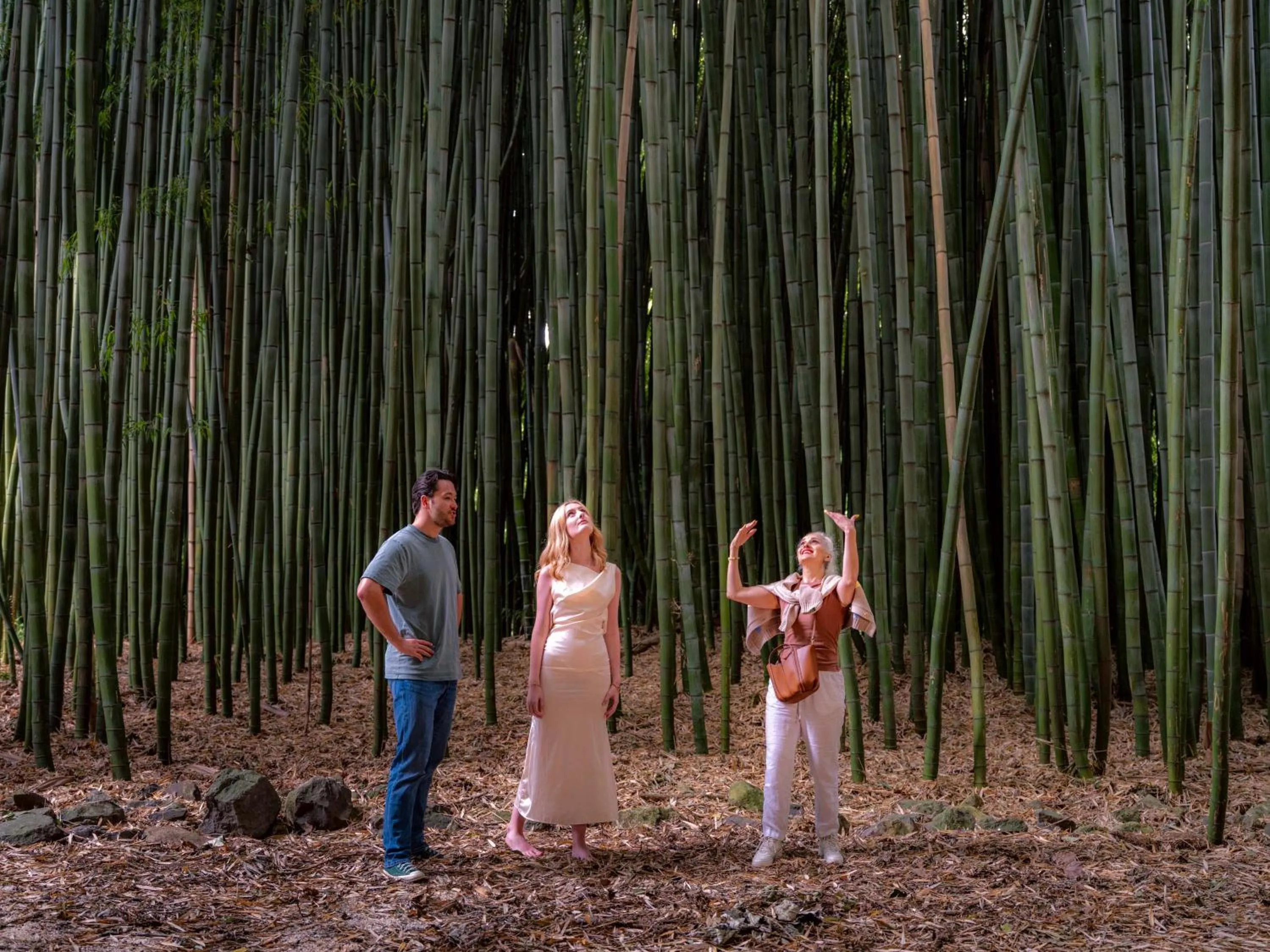 Summer in Hana Lodge