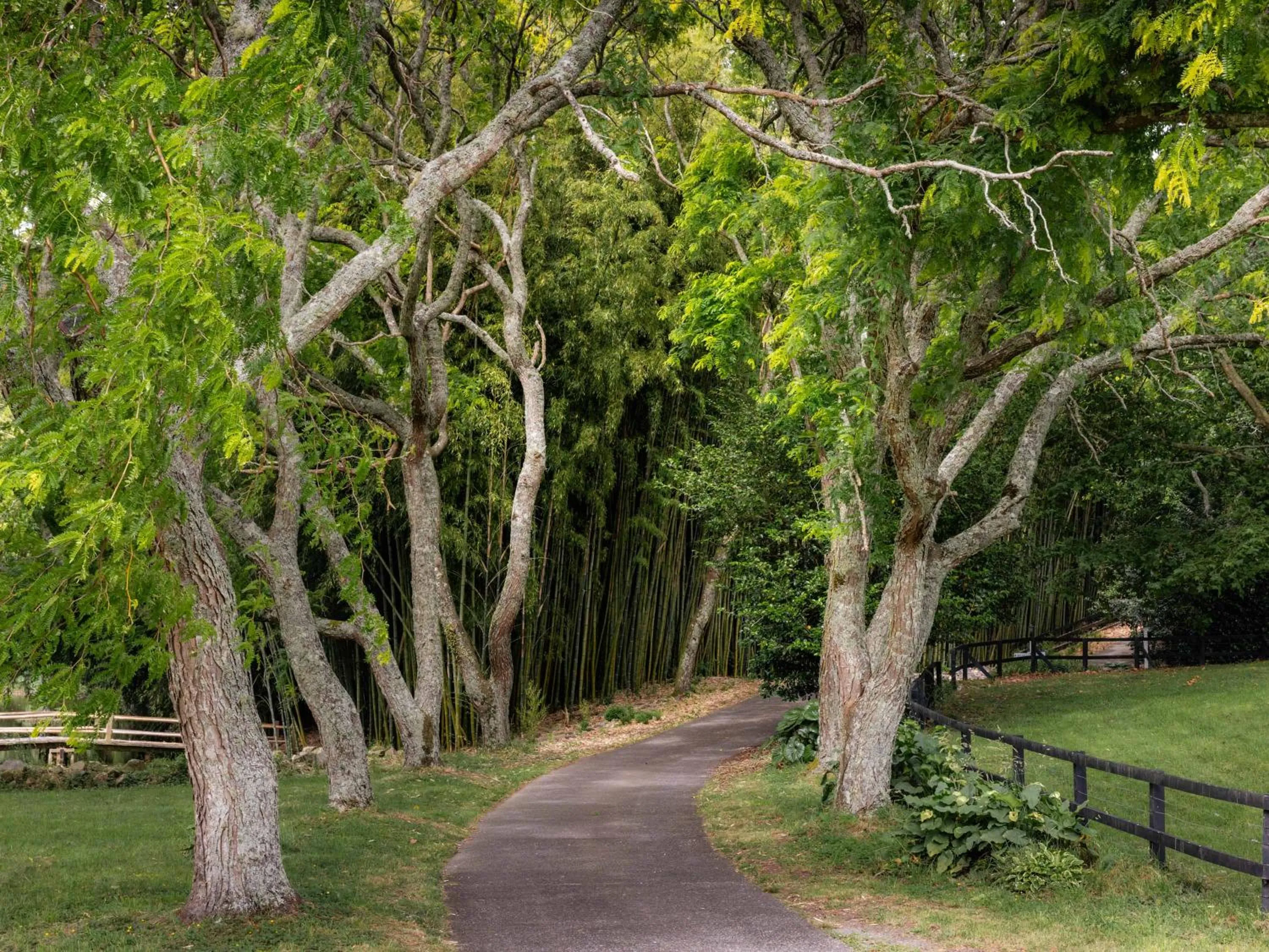 Natural landscape in Hana Lodge