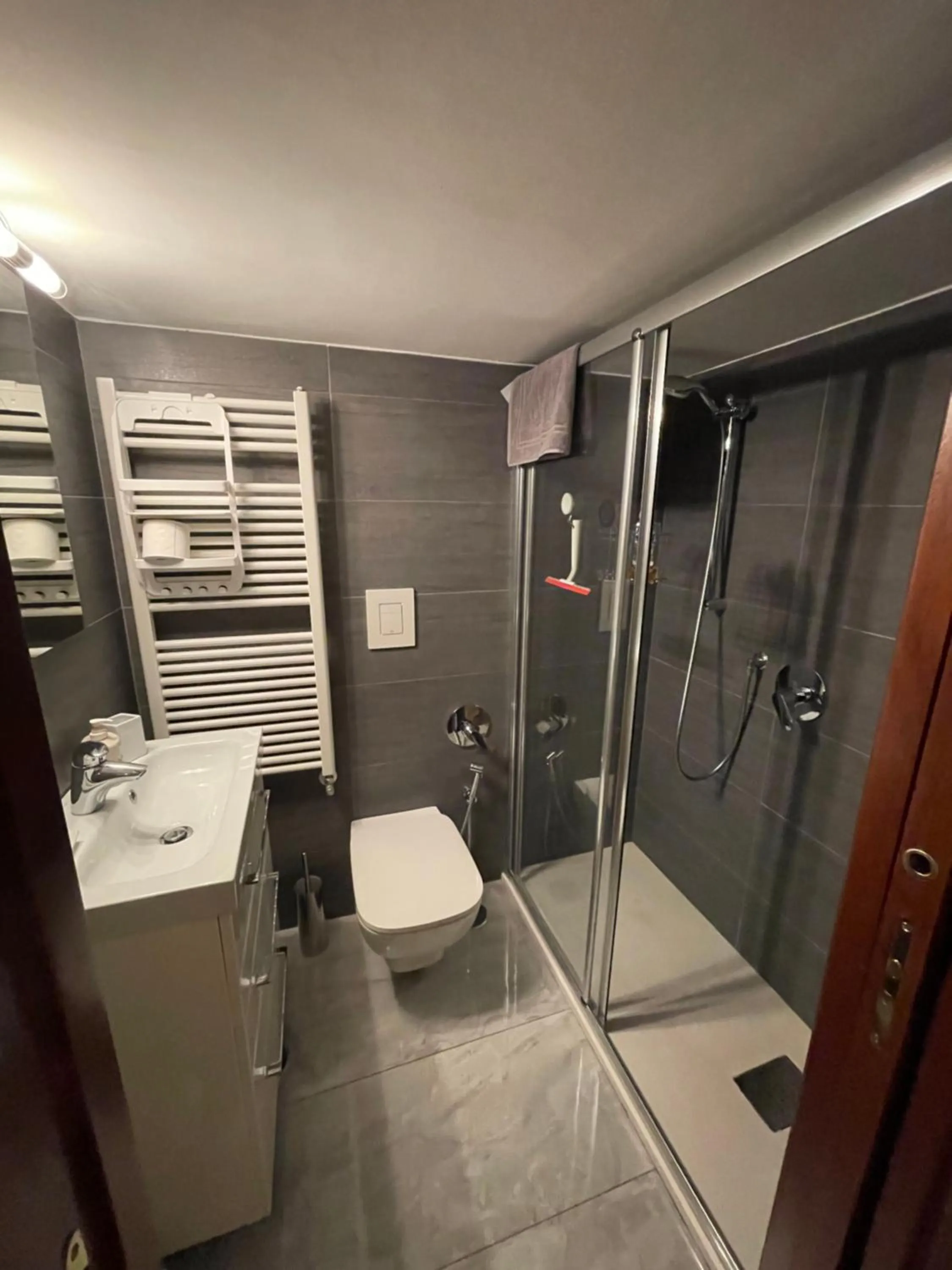 Shower in Caravaggio Apartment