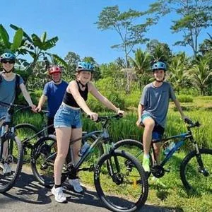 Cycling in Nobody Inn Bali at Arya guest house