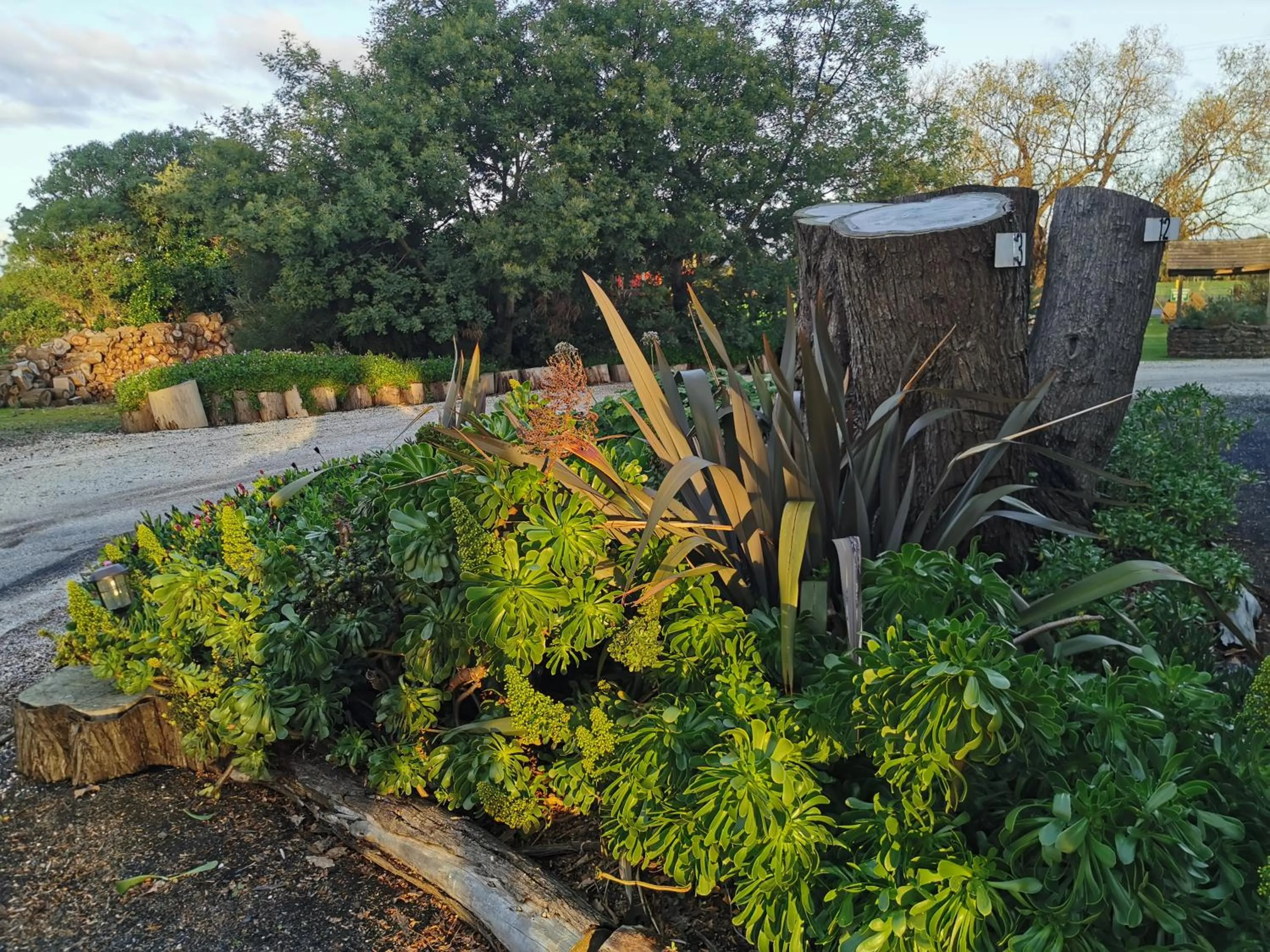 Garden in Colac Otway Caravan & Cabin Park