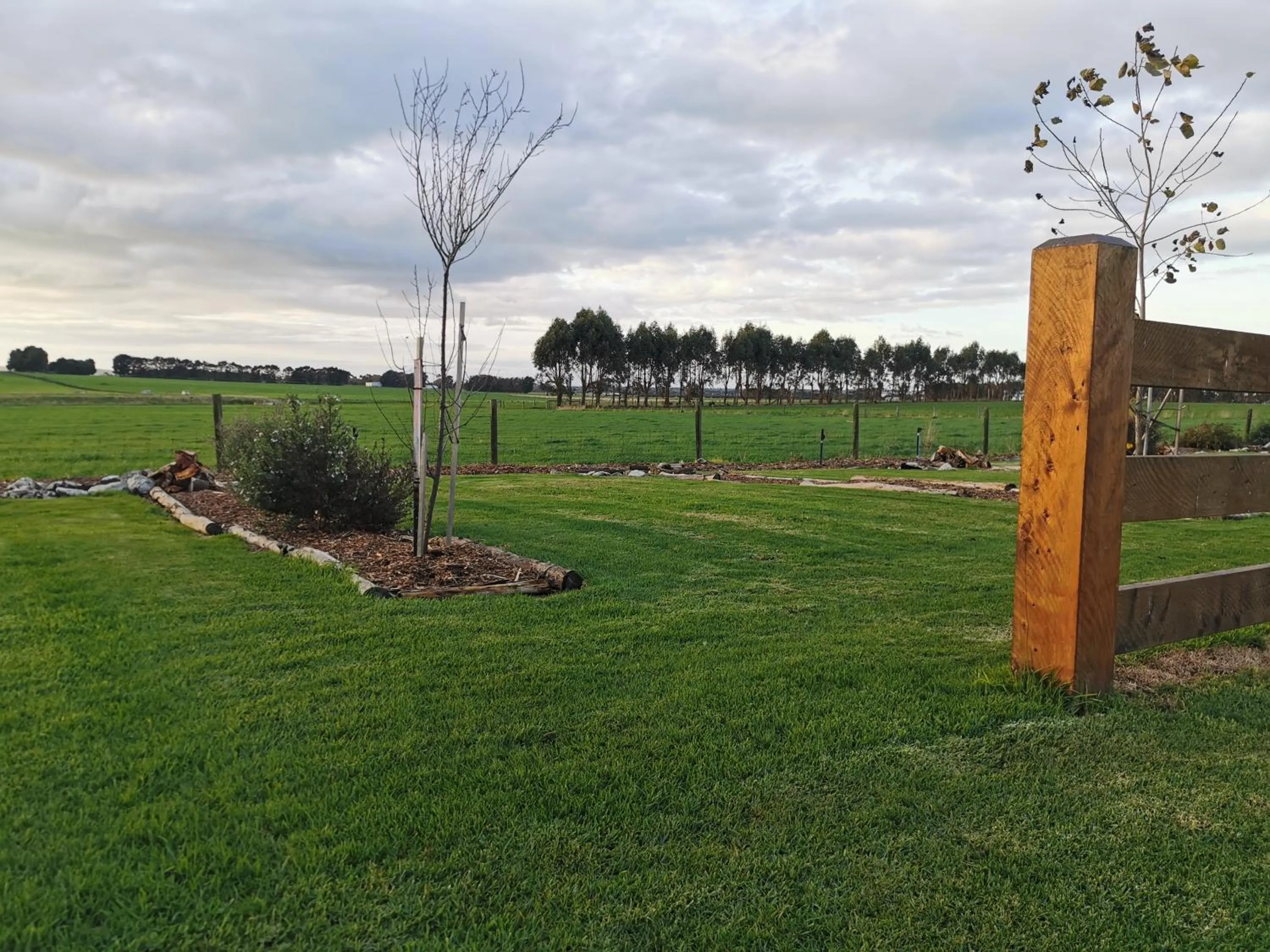Garden in Colac Otway Caravan & Cabin Park