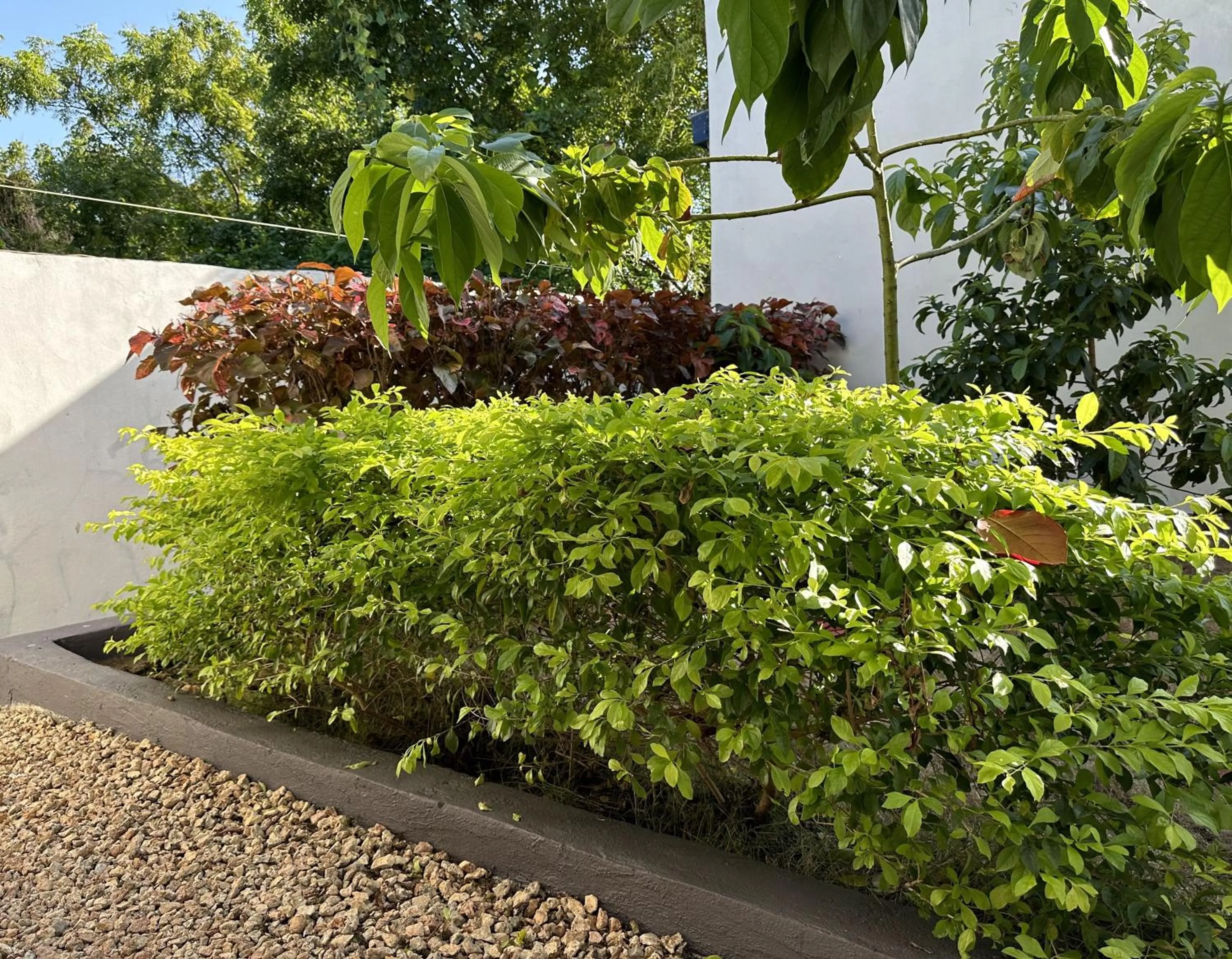 Garden in Fukuchani Inn Hotel