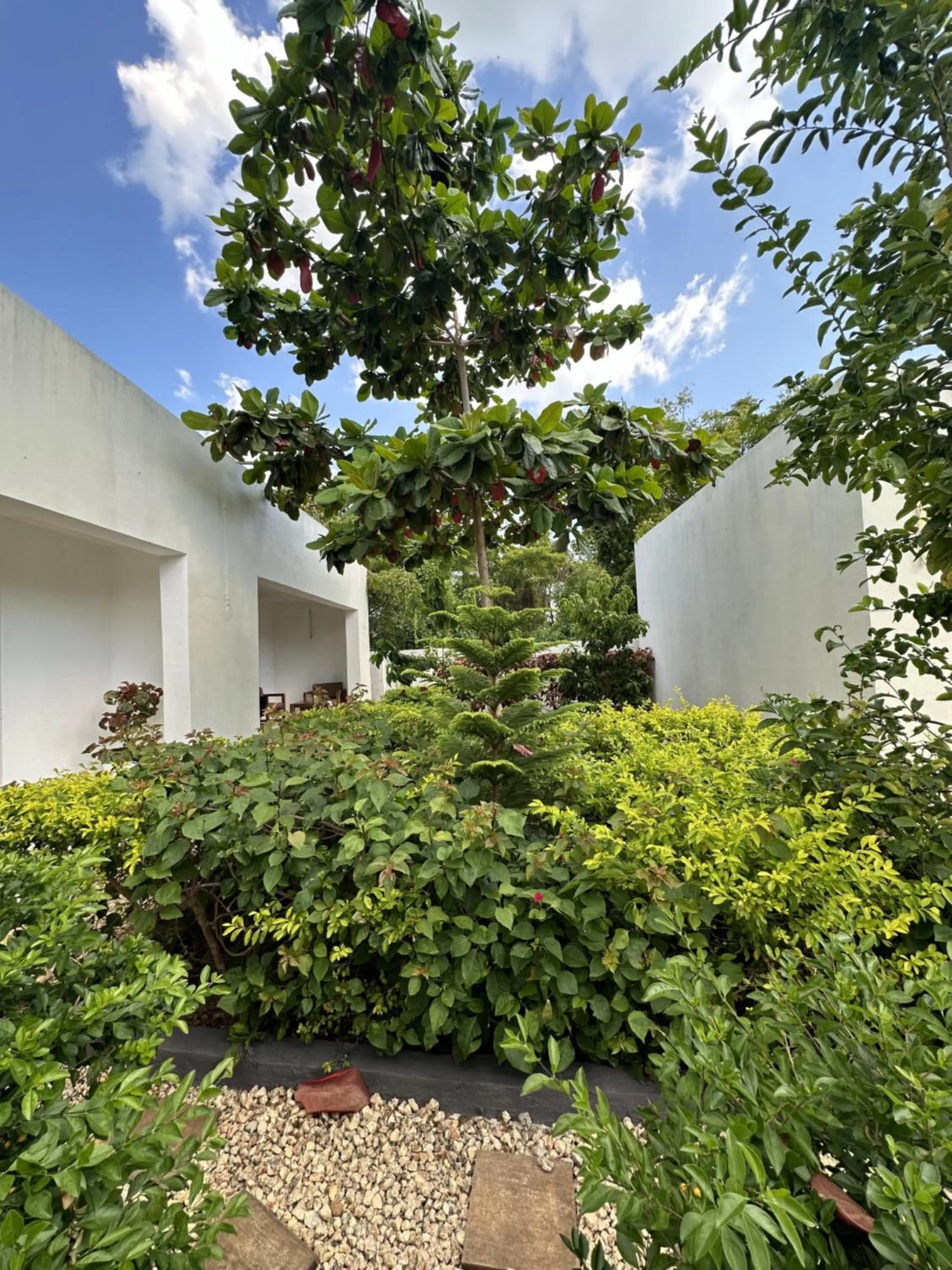 Garden in Fukuchani Inn Hotel