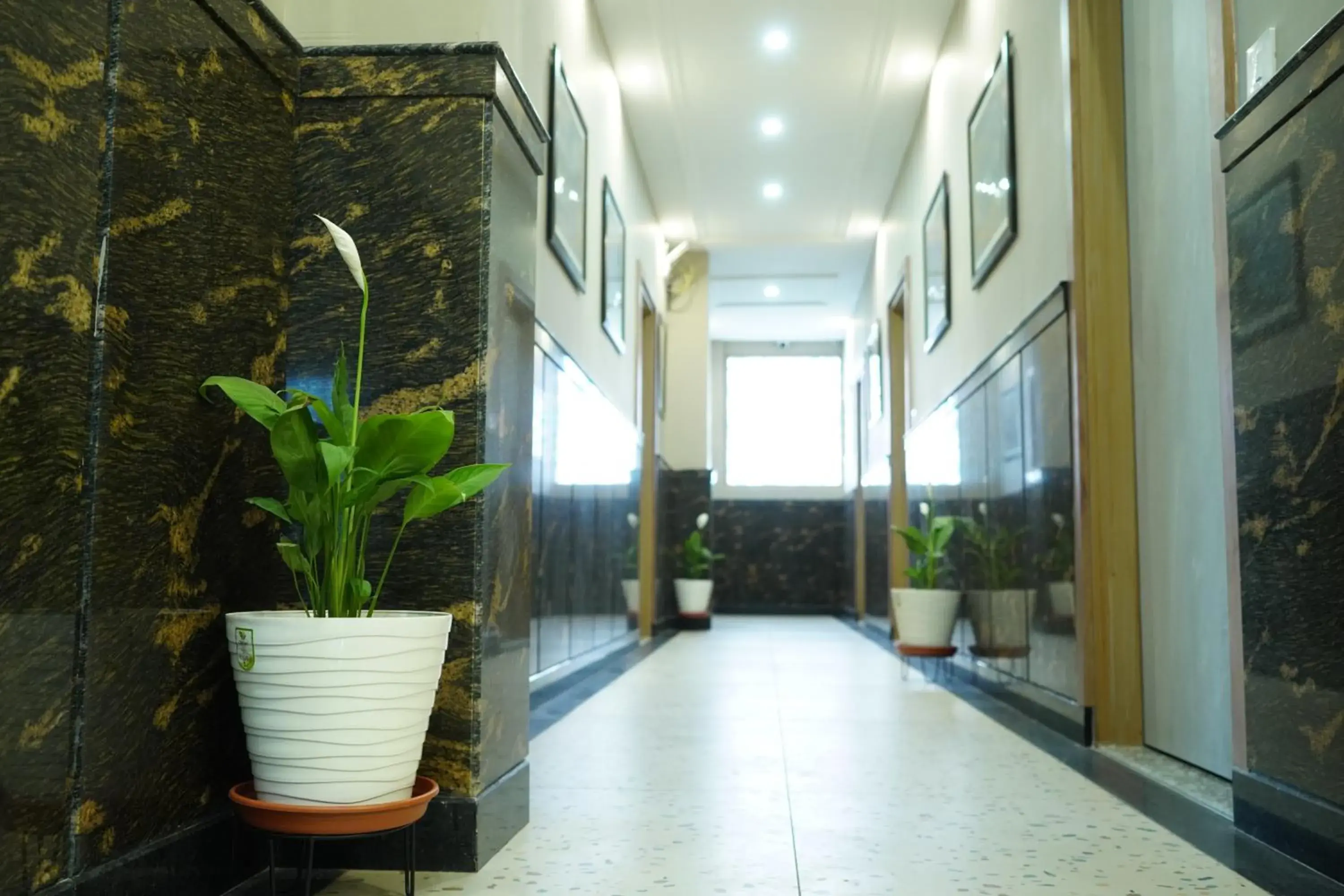 Lobby or reception in Dreamy Desert Hotel Lobby or reception in Dreamy Desert Hotel