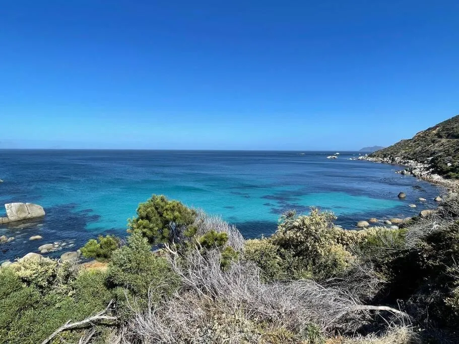 Vitamin-Sea