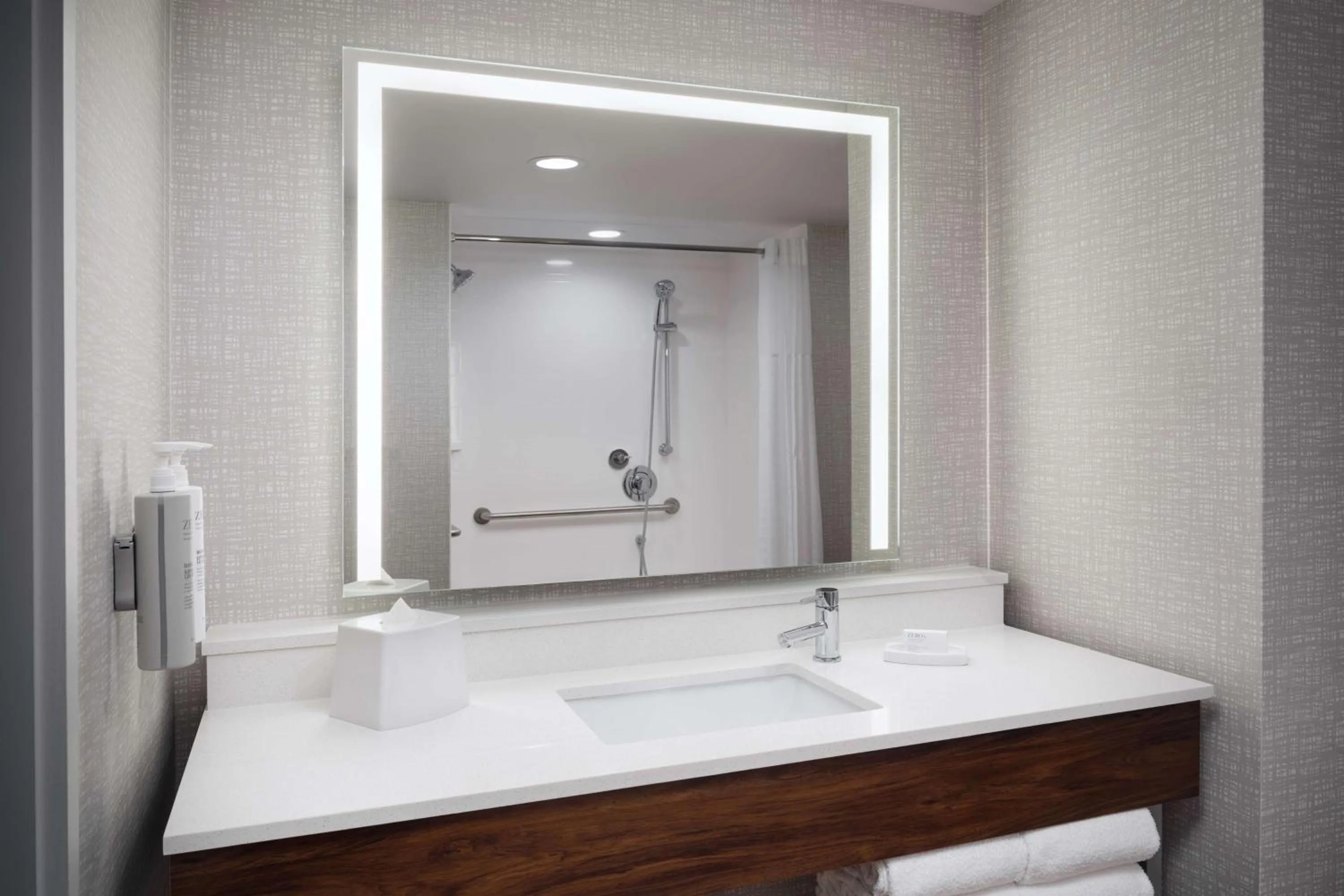 Bathroom in Hampton Inn Towson Downtown