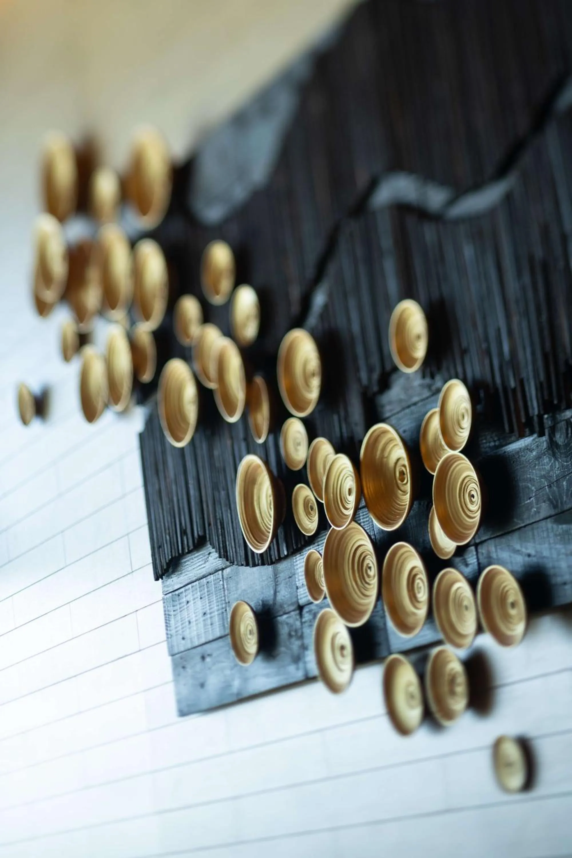 Other in Hilton Yala Resort