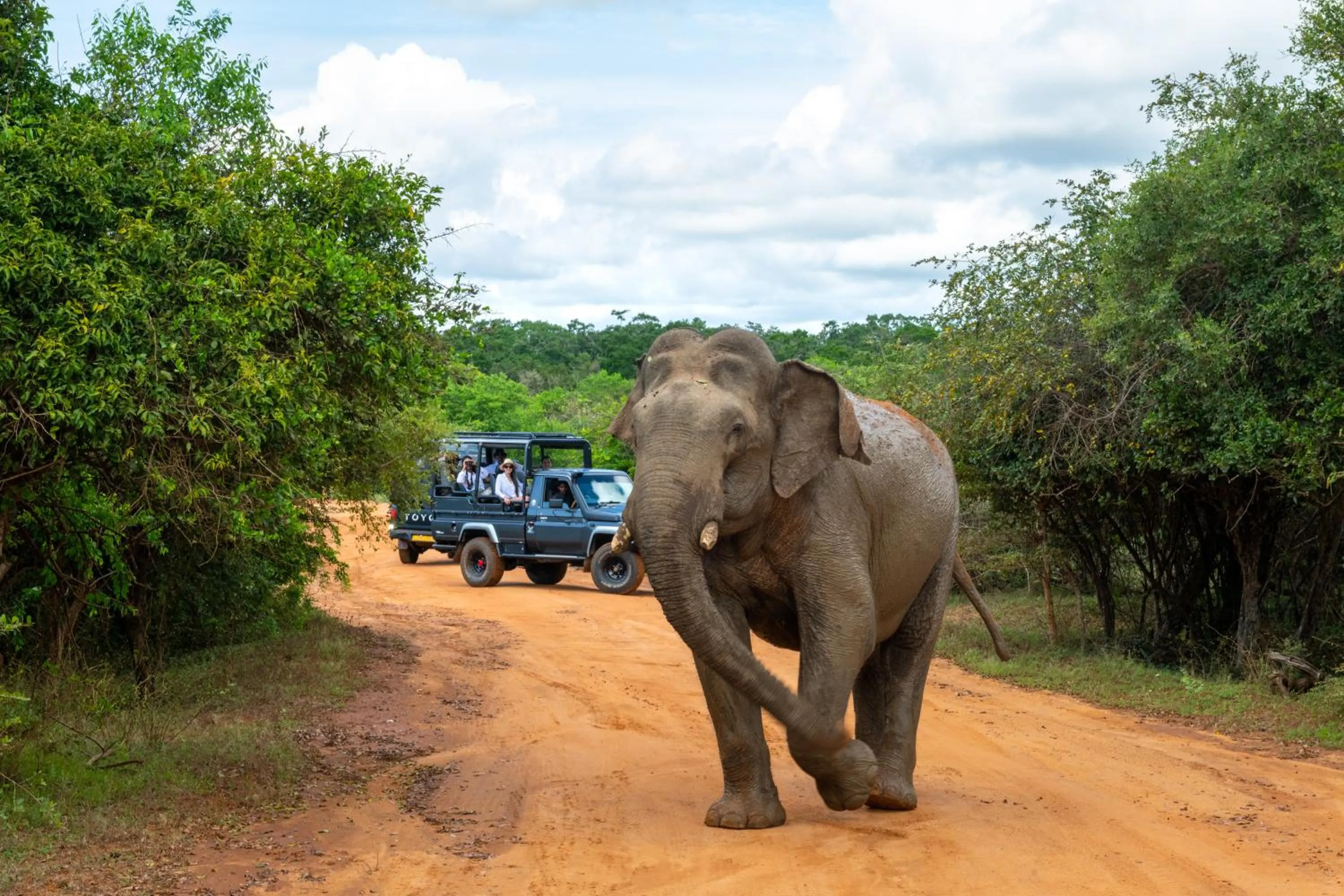 Nearby landmark in Hilton Yala Resort