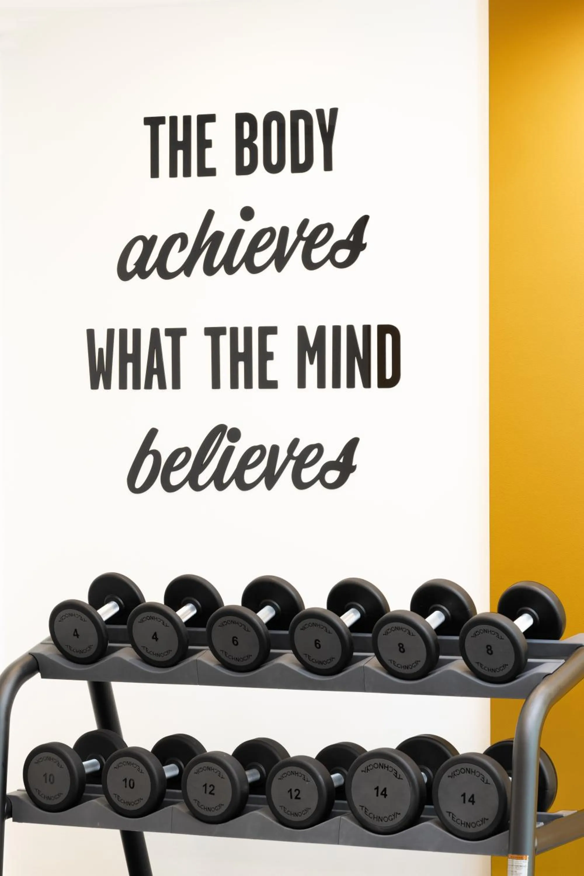 Fitness centre/facilities in Hampton By Hilton Targu Mures