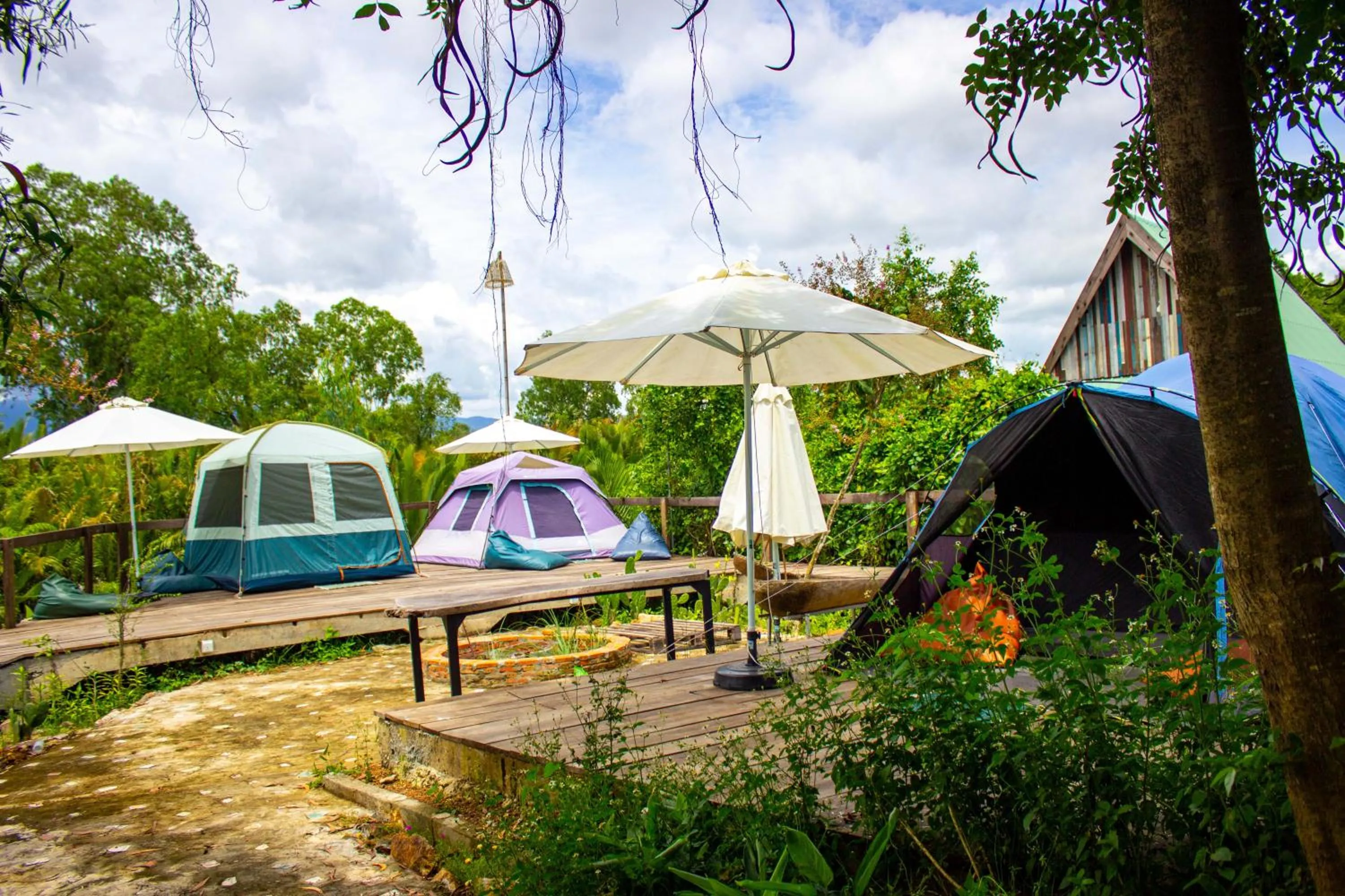 Garden in Kampot Eco Village
