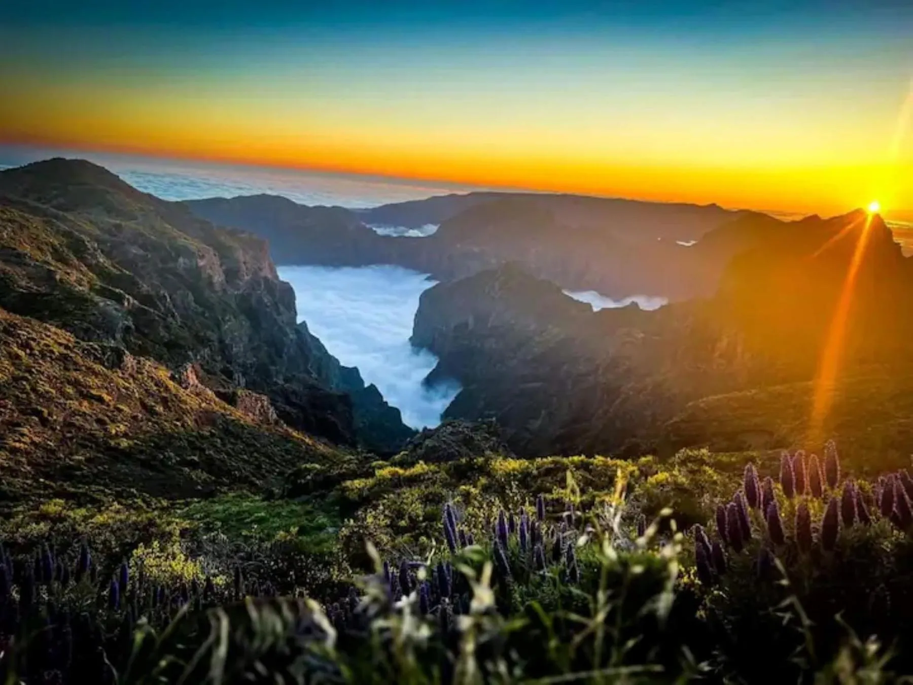 Natural landscape in Casa das Eiras, Nº48