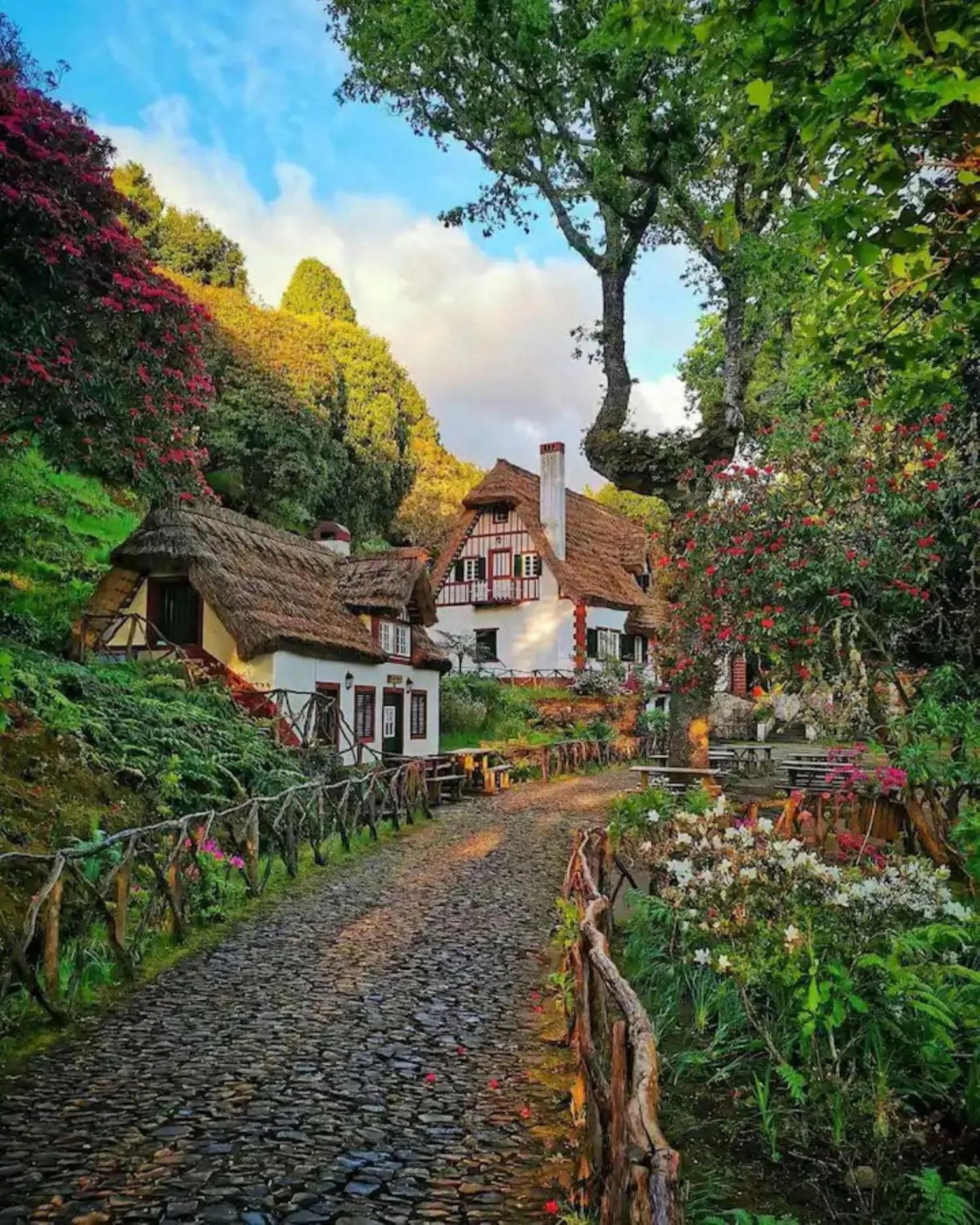 Natural landscape in Casa das Eiras, Nº48