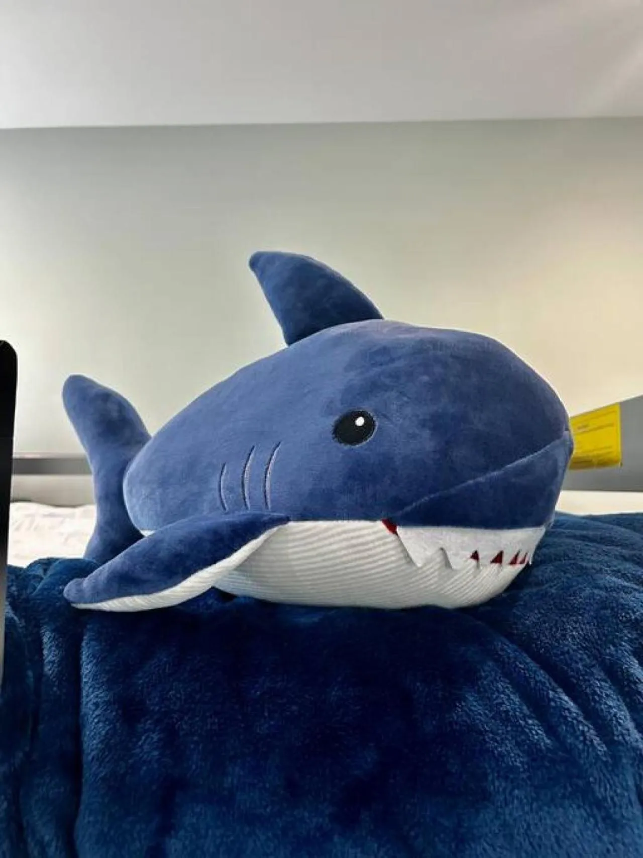 Other in 318 E Youngs Ave Unit 5 Salty Shore Oasis Spectacular Retreat