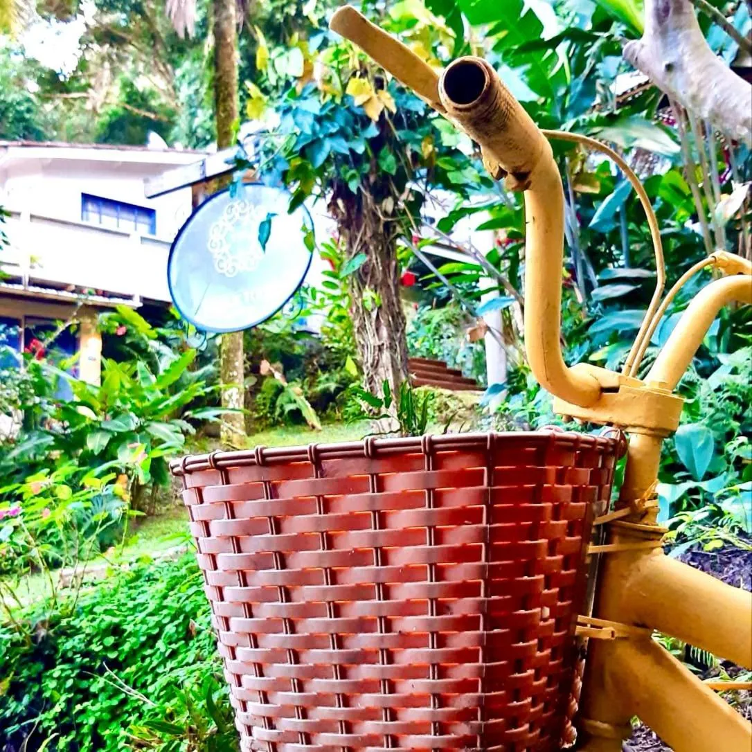 Garden in BOSQUE TOQUE TOQUE Pousada