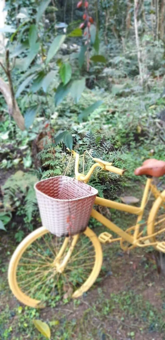 Garden in BOSQUE TOQUE TOQUE Pousada