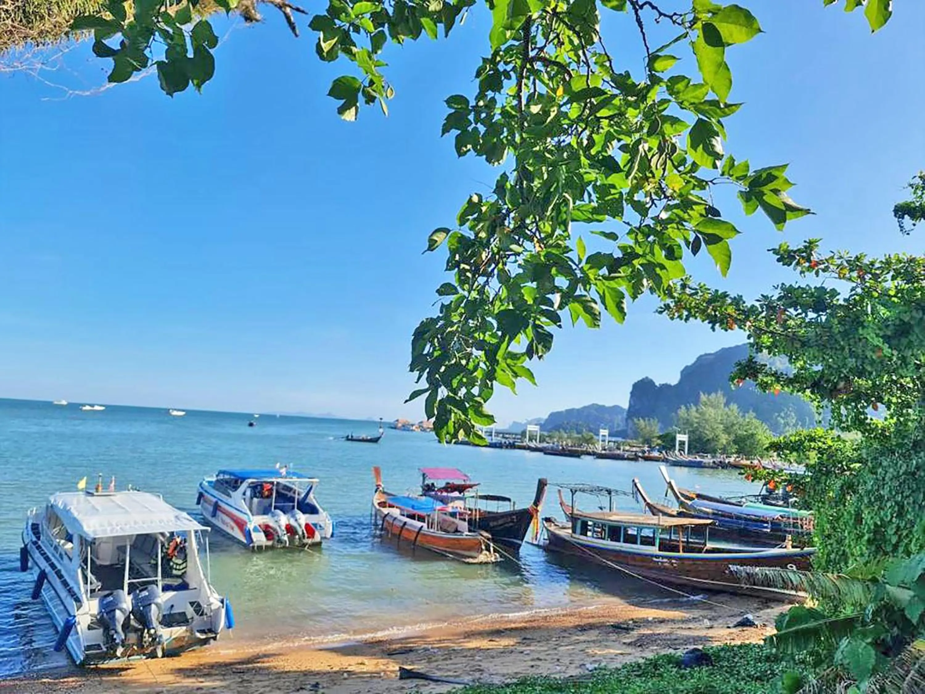 Natural landscape in Anyavee Chom By The Sea