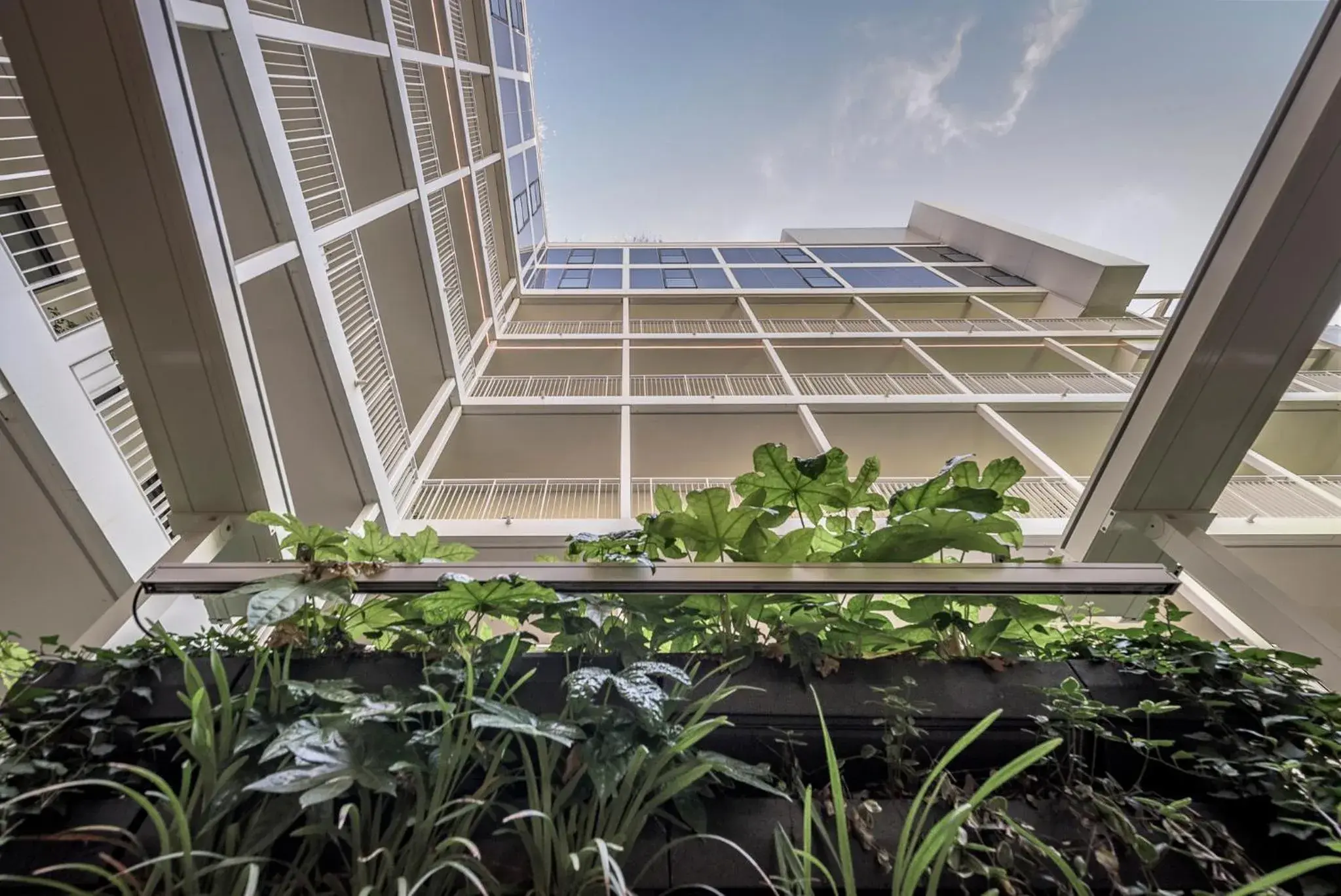 Inner courtyard view in Palazzo Viridis Inner courtyard view in Palazzo Viridis