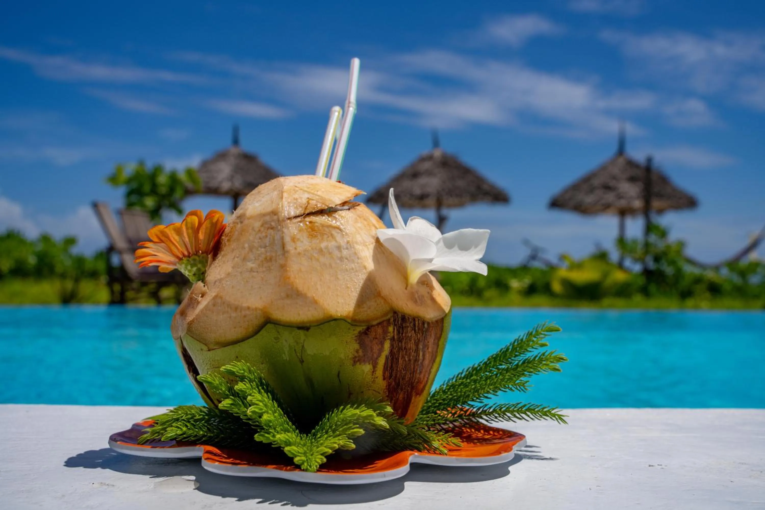 Garden in La Perla Beach Resort, Zanzibar - Your Beachfront Private Haven