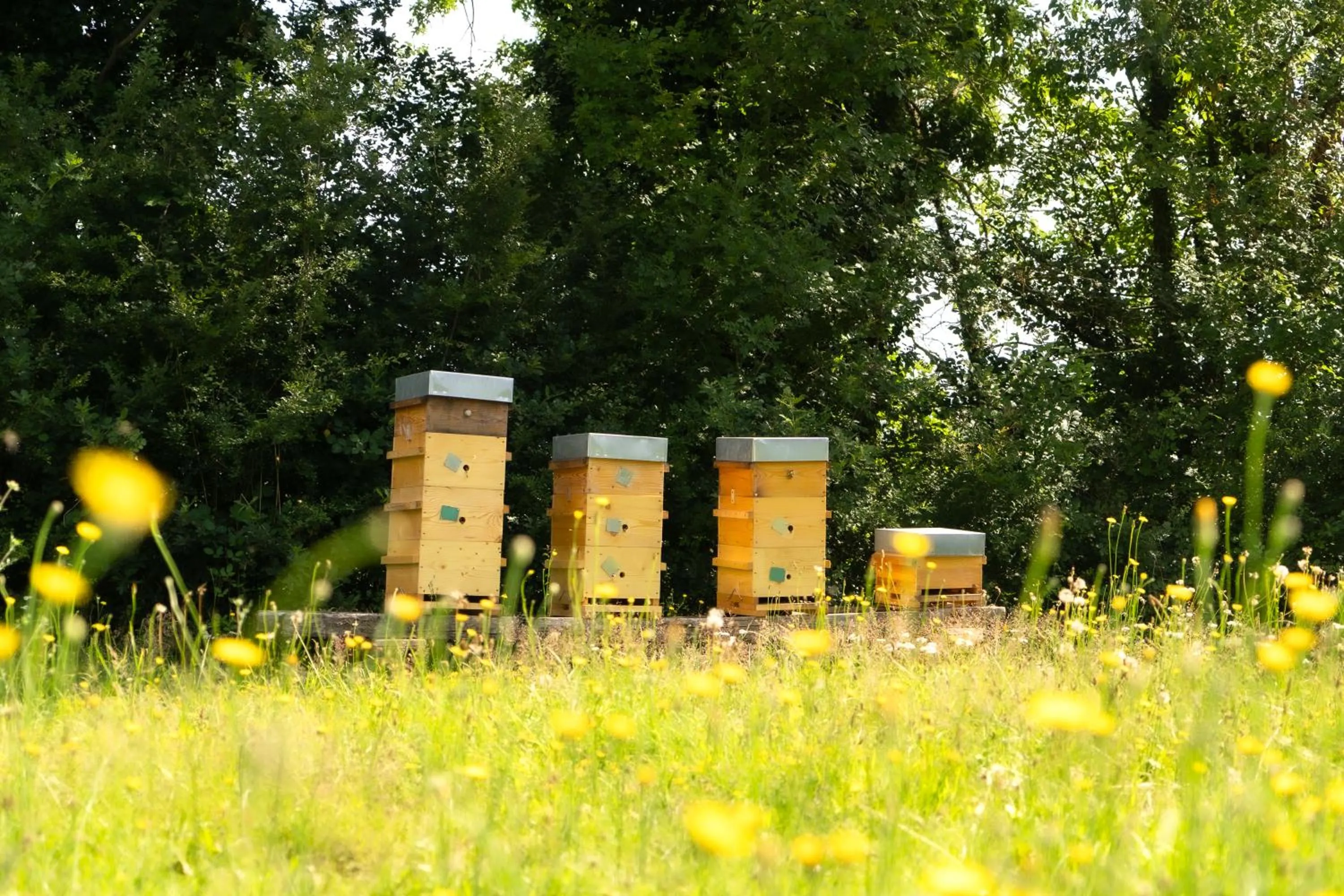 Spring, Property Building in Le domaine de la Rivalière