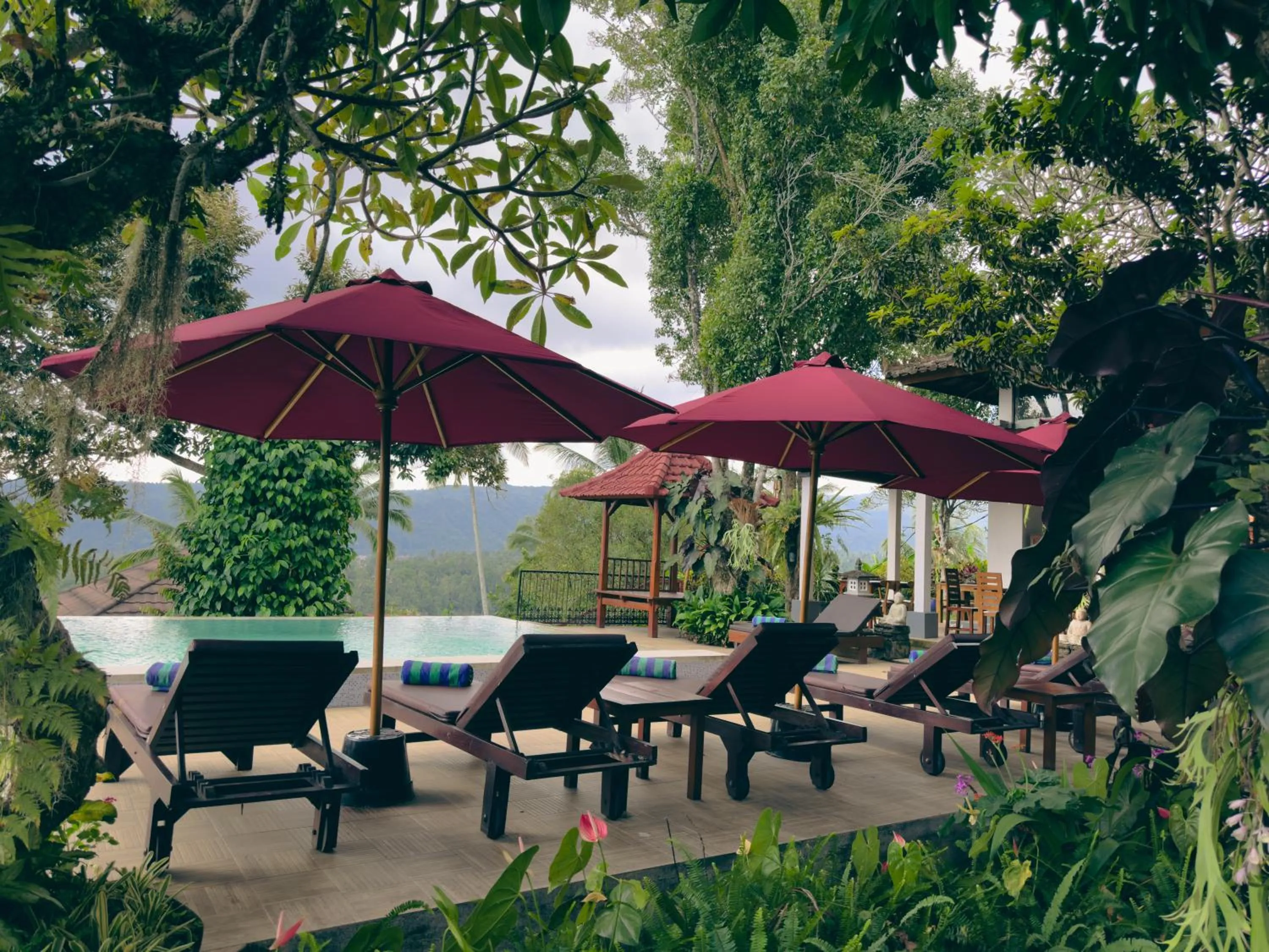 Swimming pool in VILLA IPSA