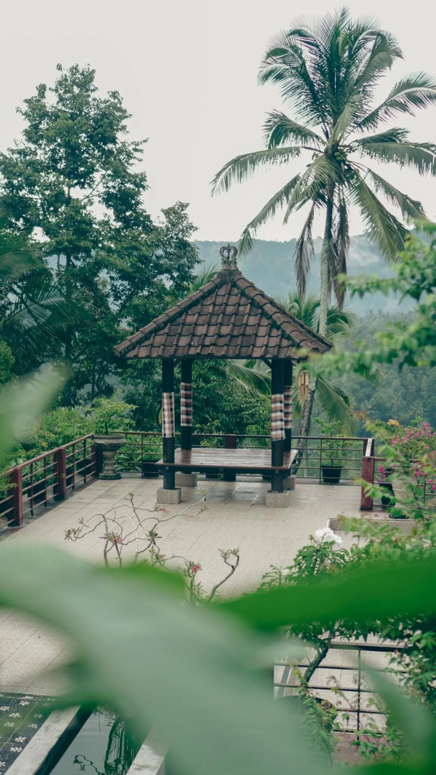 Natural landscape in VILLA IPSA