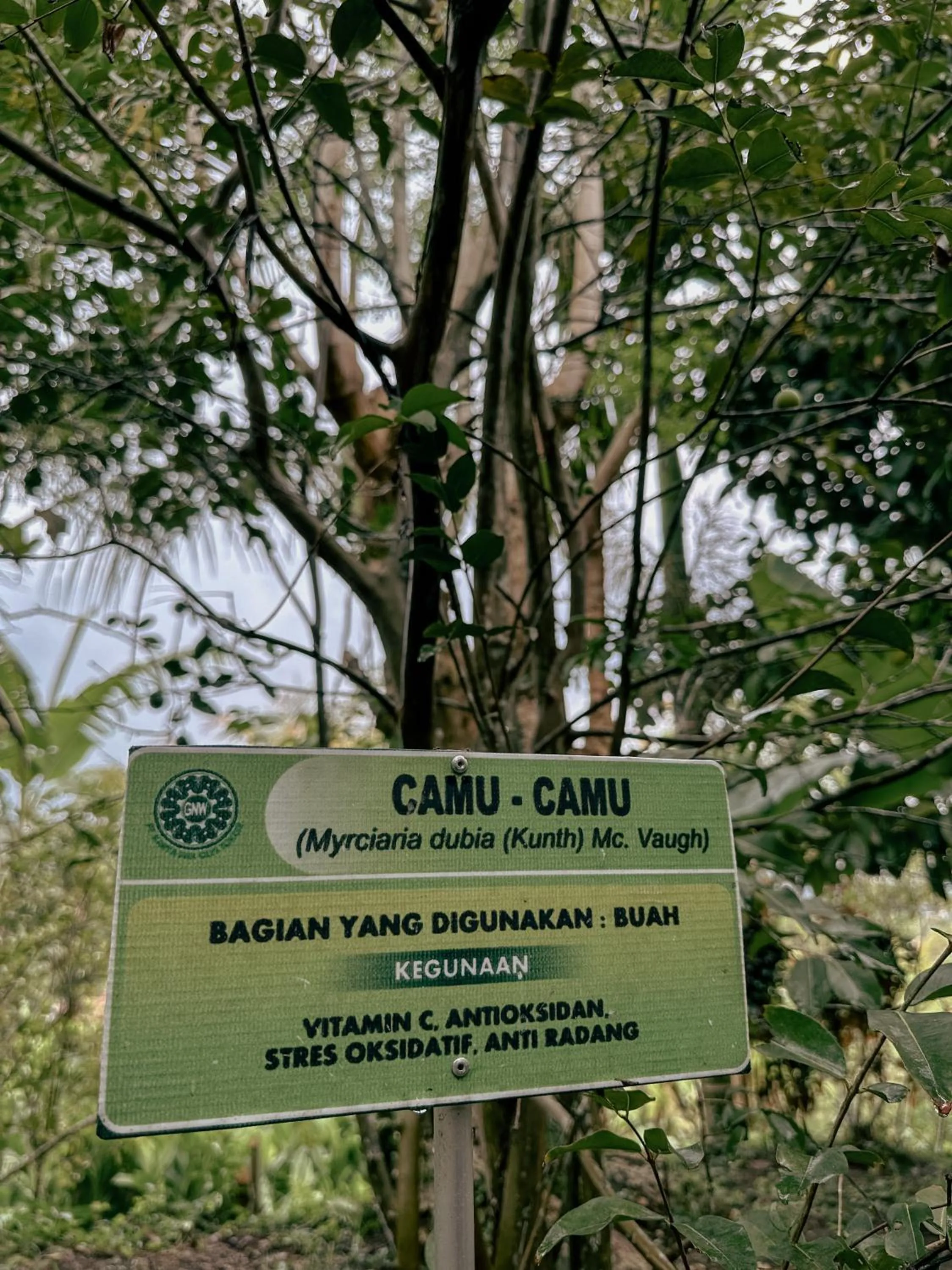 Property logo or sign in VILLA IPSA