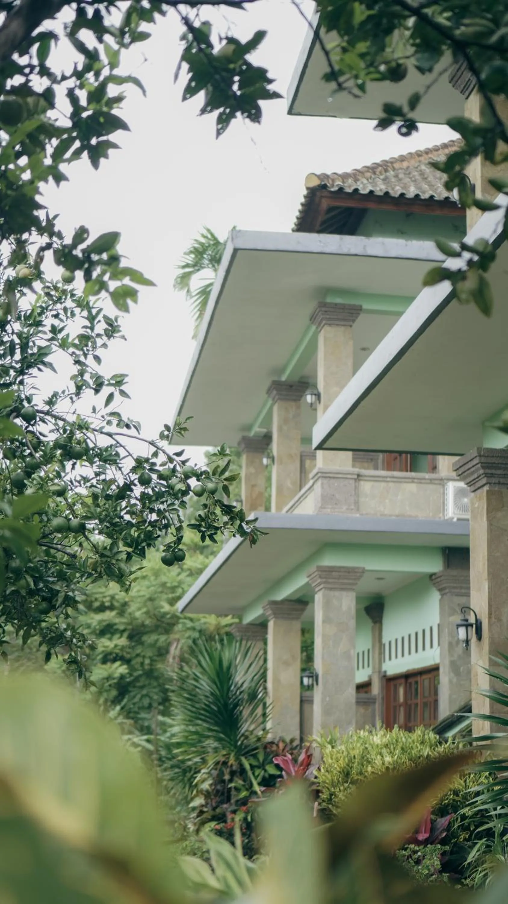 Property building in VILLA IPSA