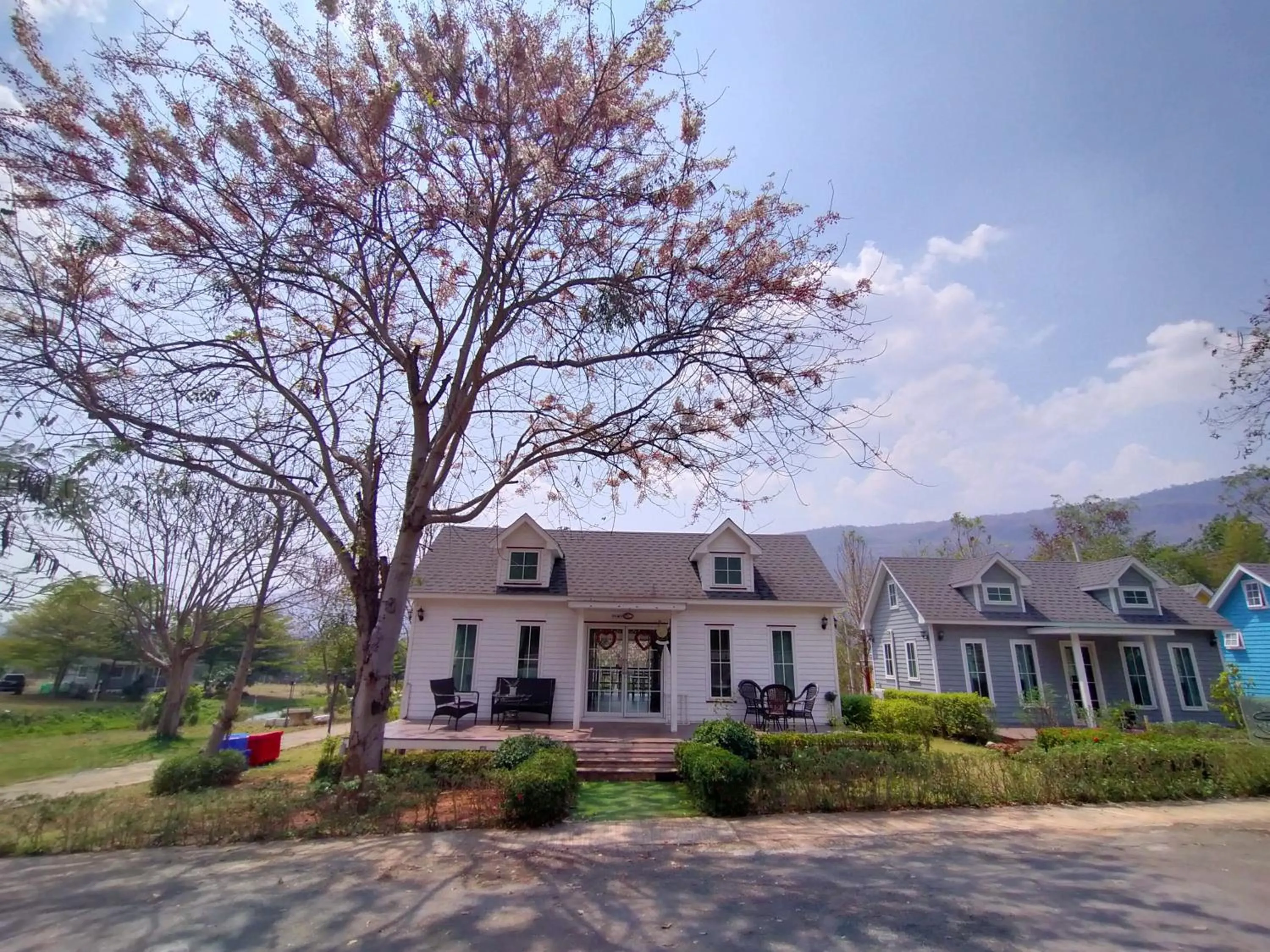 Natural landscape in The Open Hills