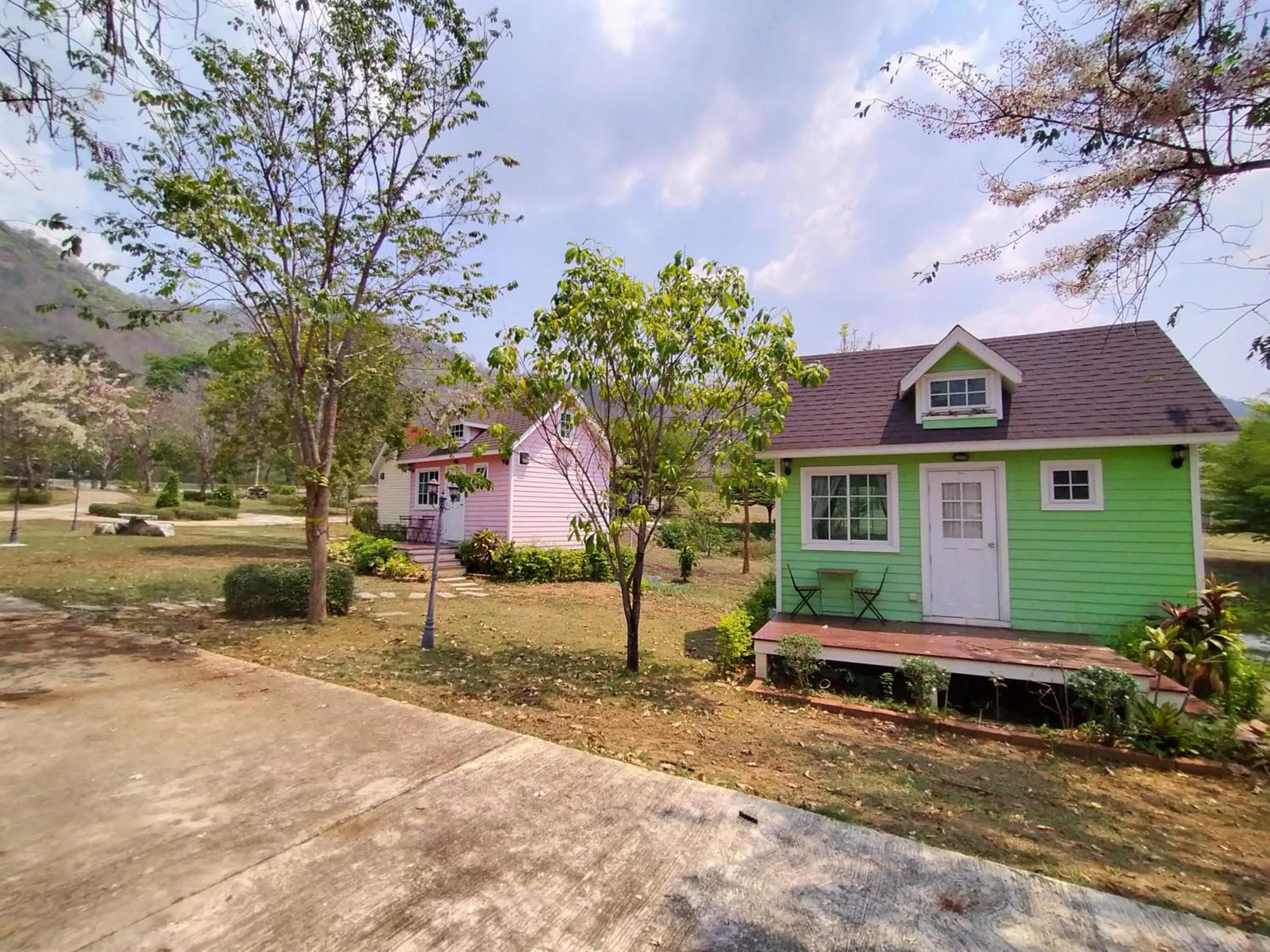 Day in The Open Hills