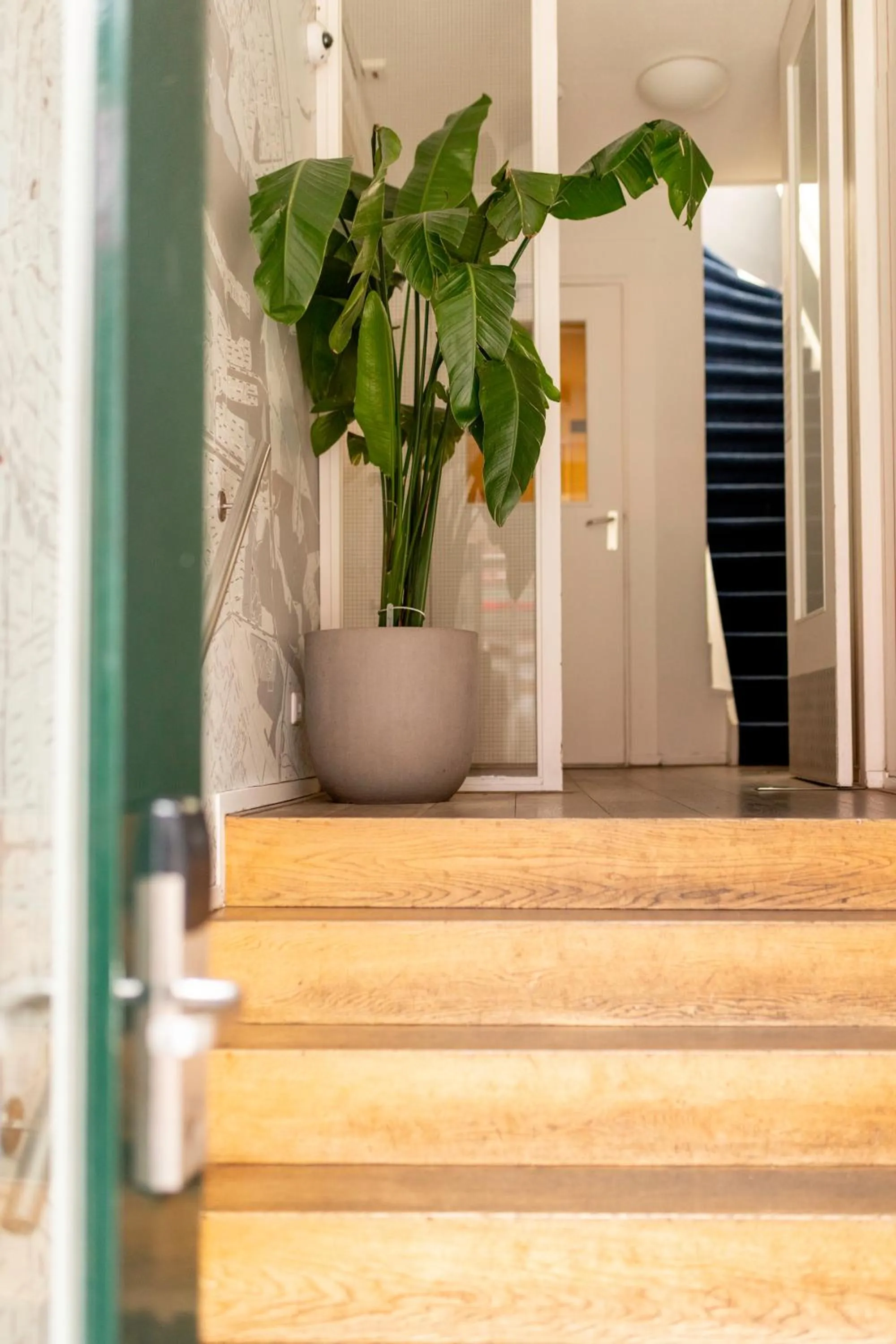 Property building in Hotel La Bohème