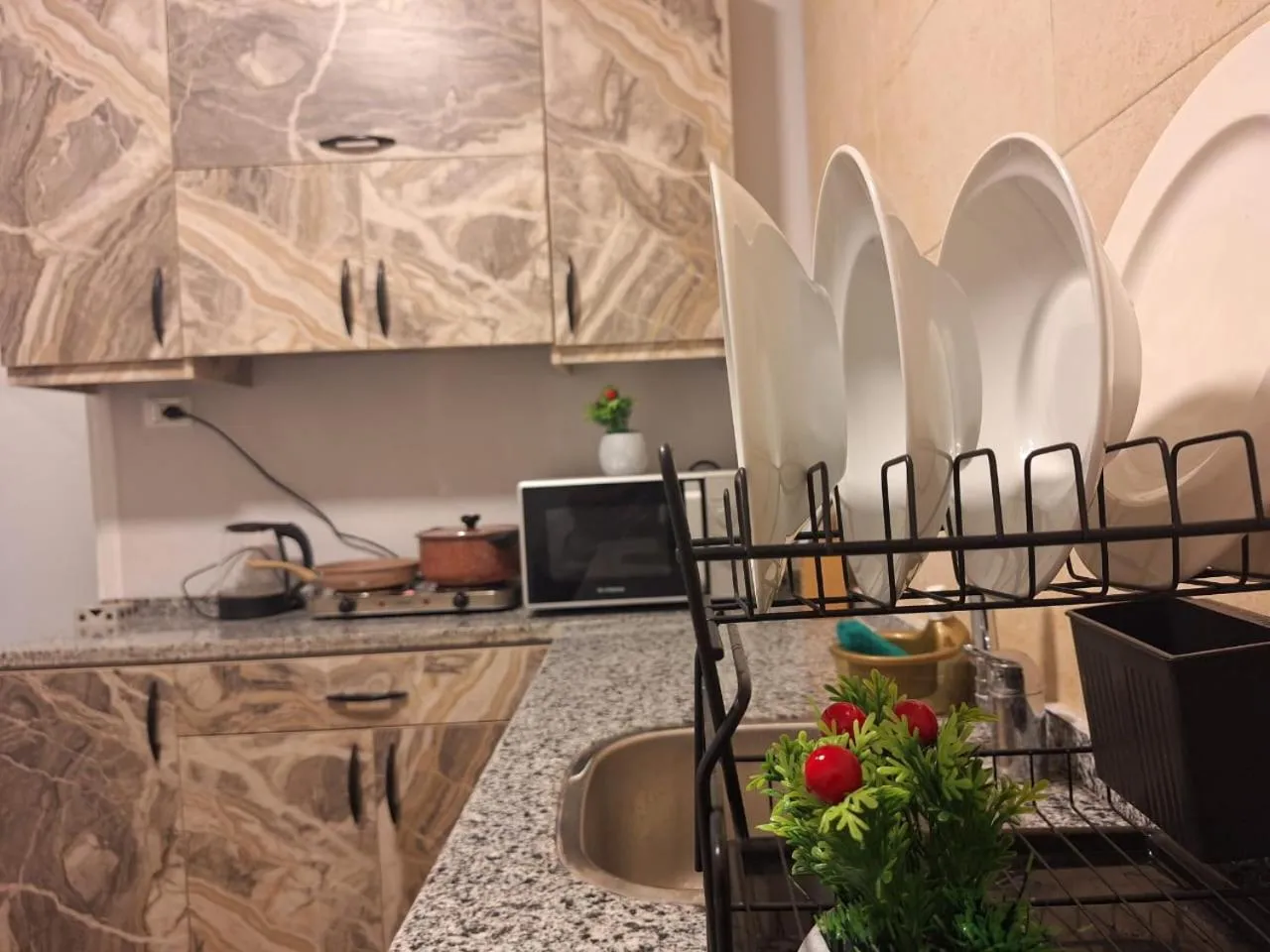 Kitchen or kitchenette in downtown Family Suites