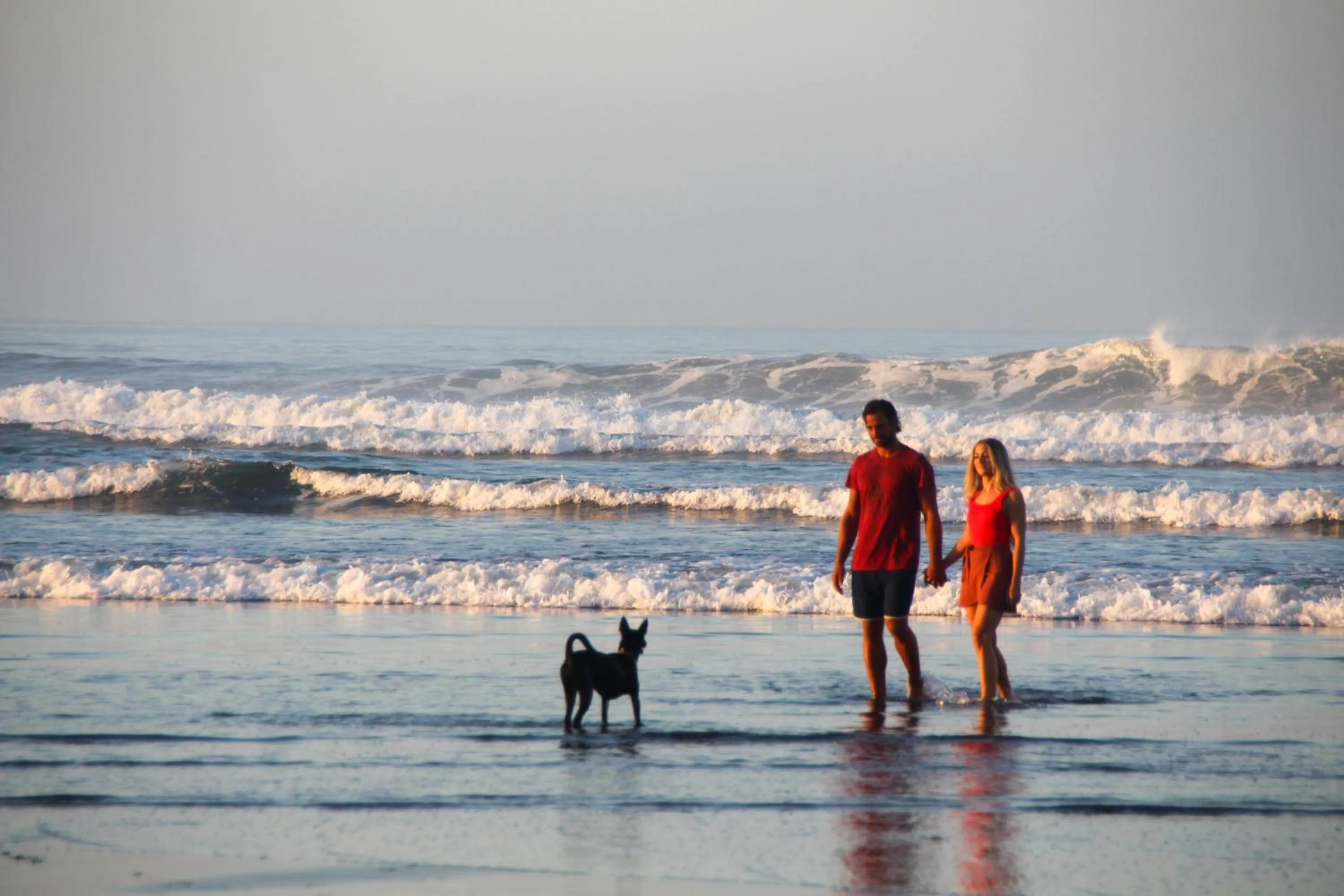 Bali Hai Island Resort