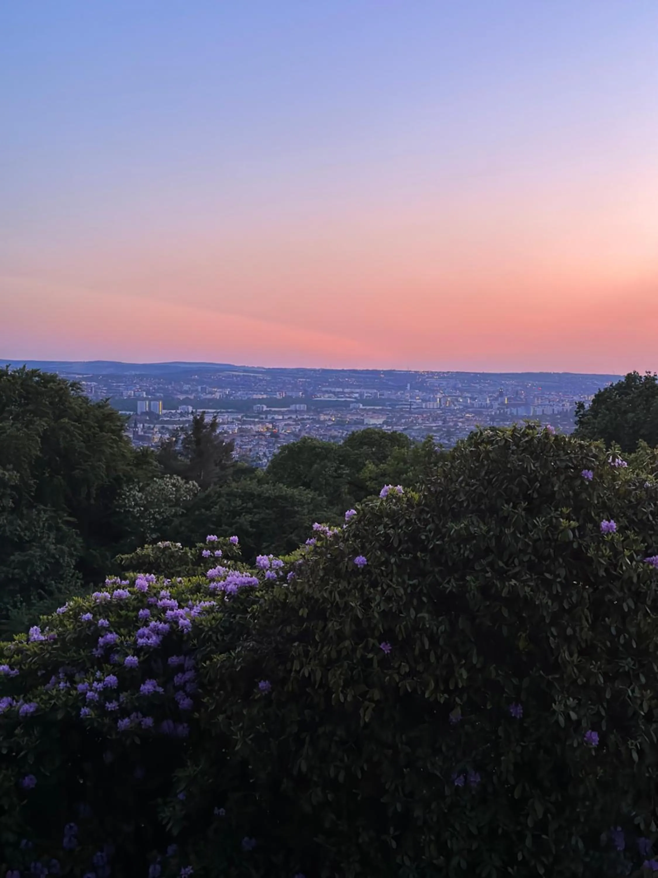 Natural landscape in Oasis Appart - Wohnen im Königspark - Elbhang Dresden - große Terrasse - Netflix - TG