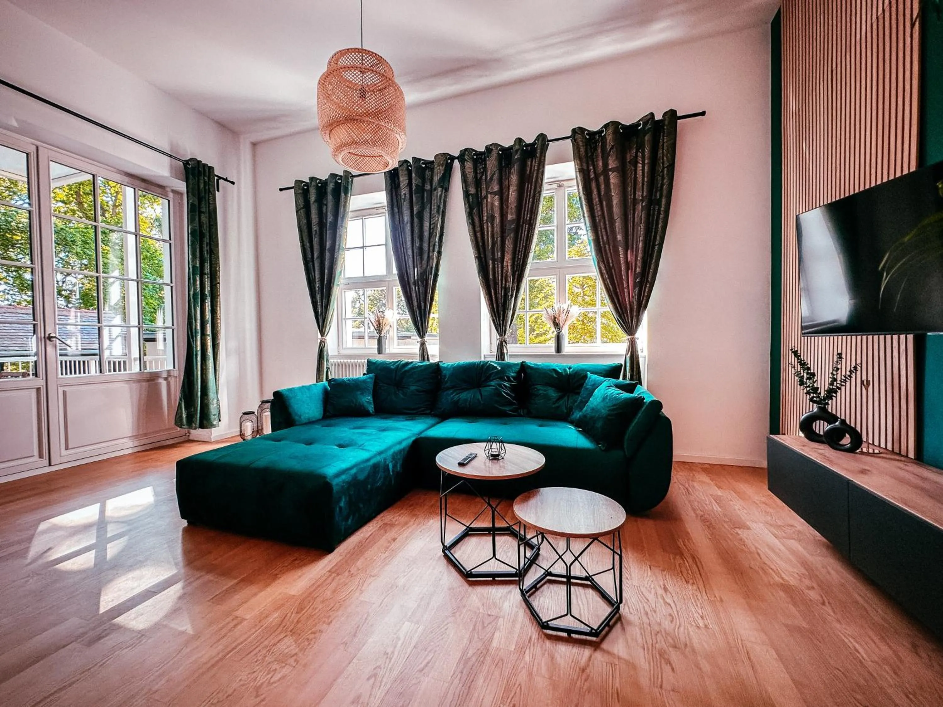 TV and multimedia in Oasis Appart - Wohnen im Königspark - Elbhang Dresden - große Terrasse - Netflix - TG