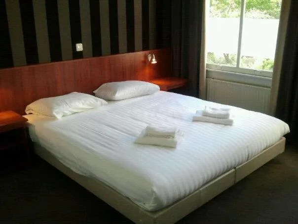 Photo of the whole room in Hotel Blyss