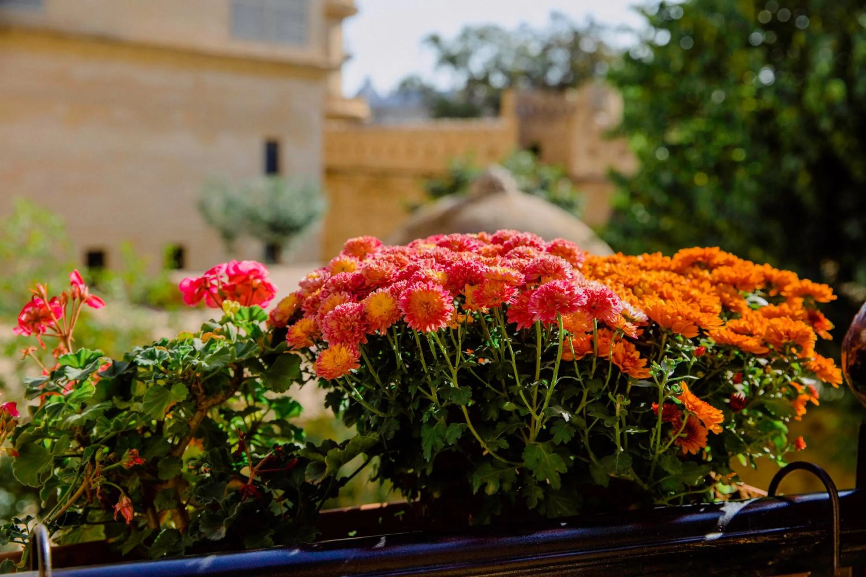 Property building in Royal Antique Boutique Hotel