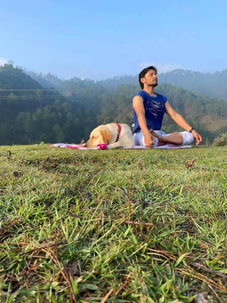 Natural landscape in Cortland Jungle Resort