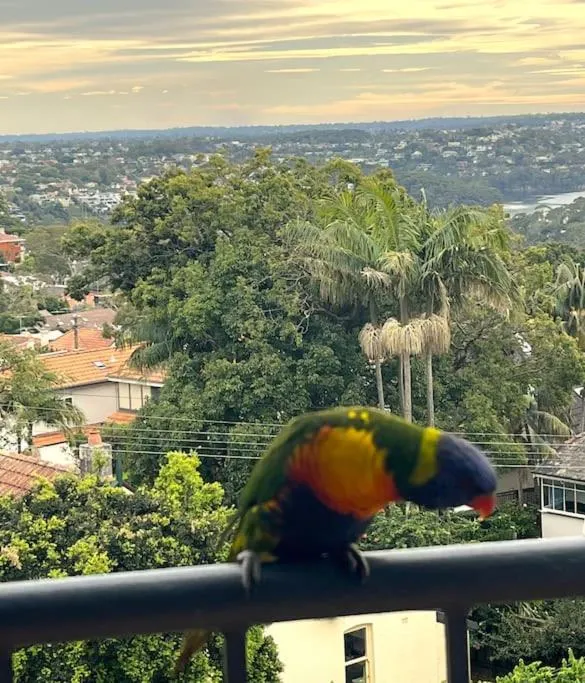 Balcony/Terrace in Mosman Views, 2bed, Parking, 15min Walk to Beach