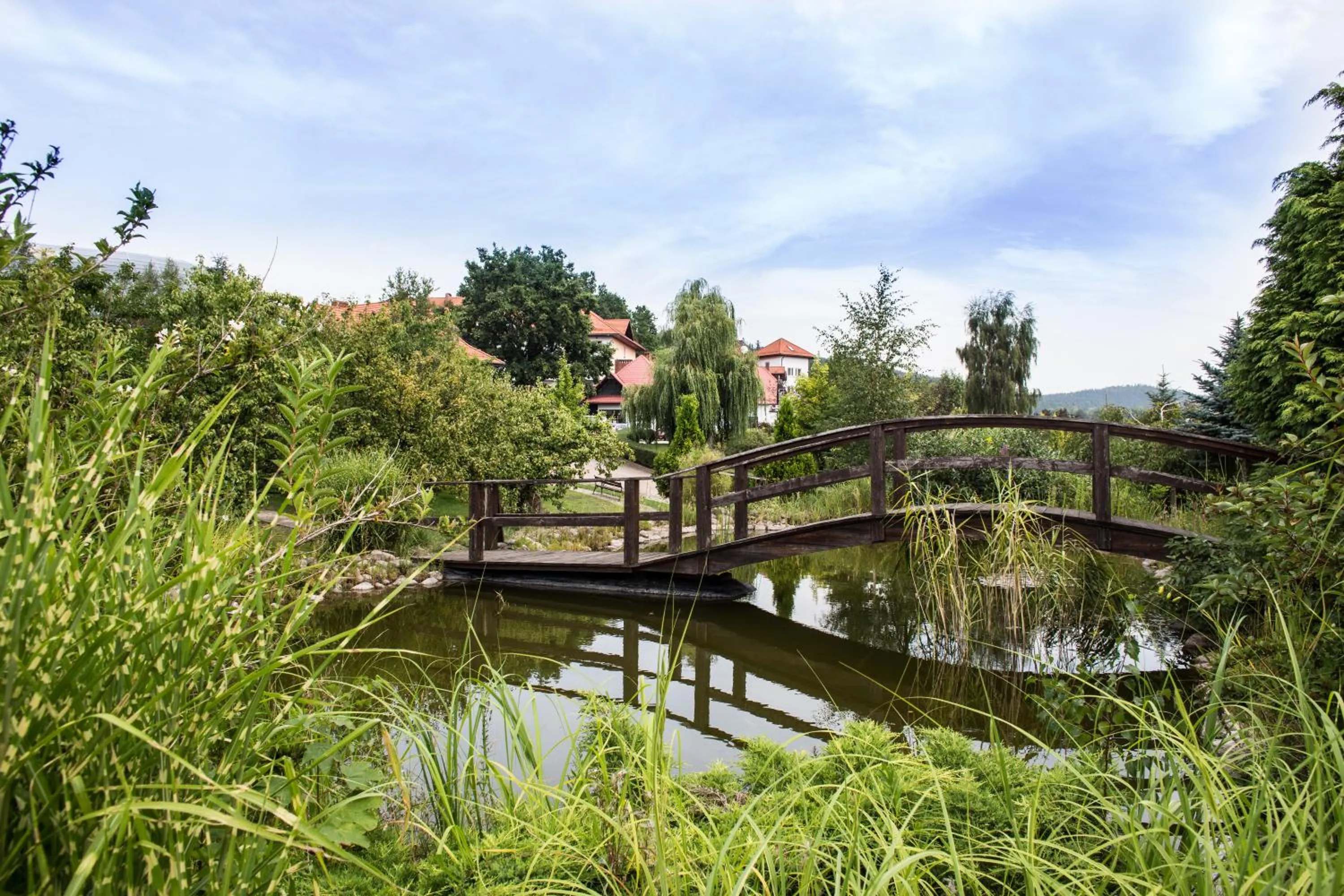 Garden in Kyriad Karkonosze