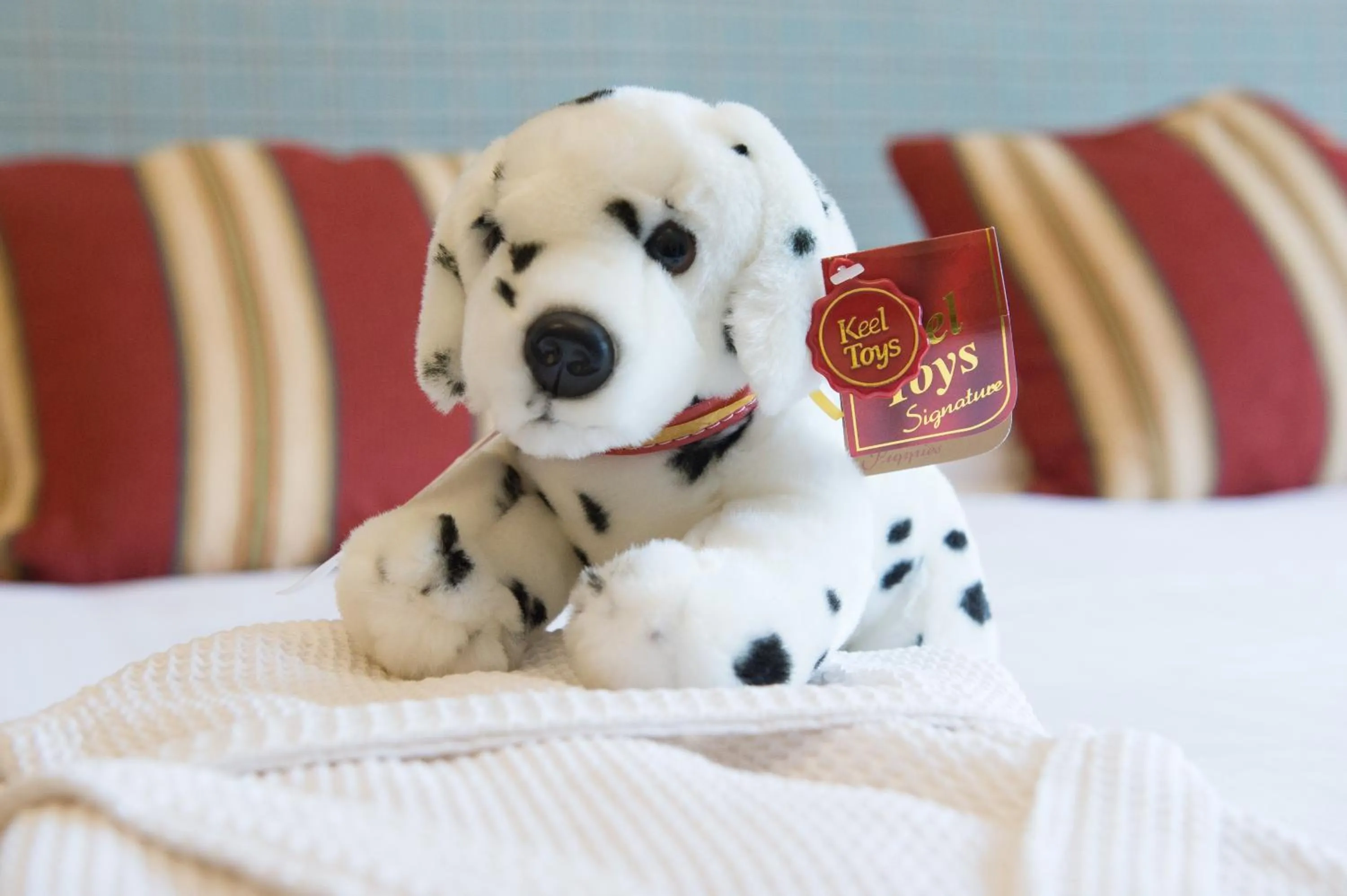 Lake Vyrnwy Hotel & Spa