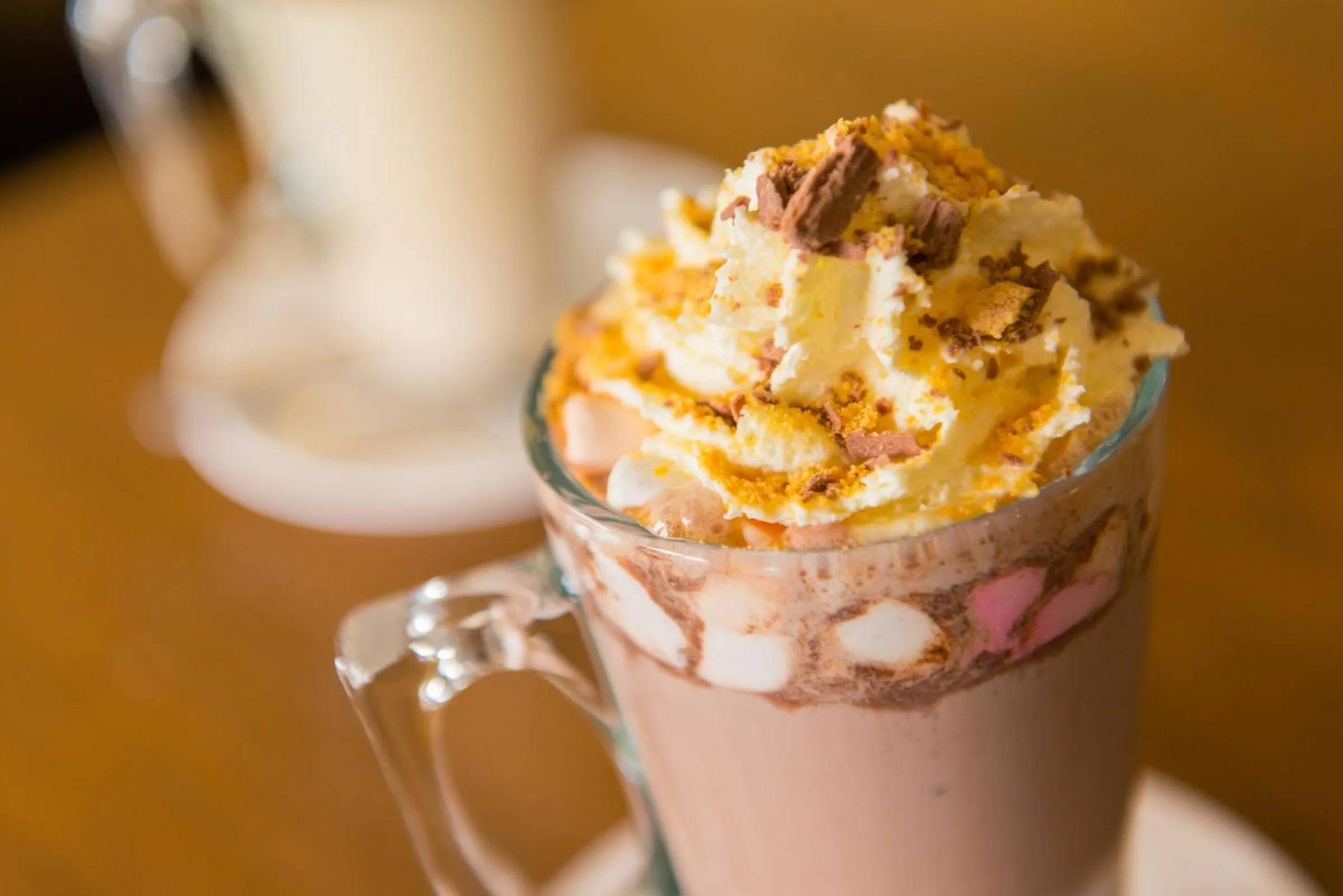 Drinks in Lake Vyrnwy Hotel & Spa