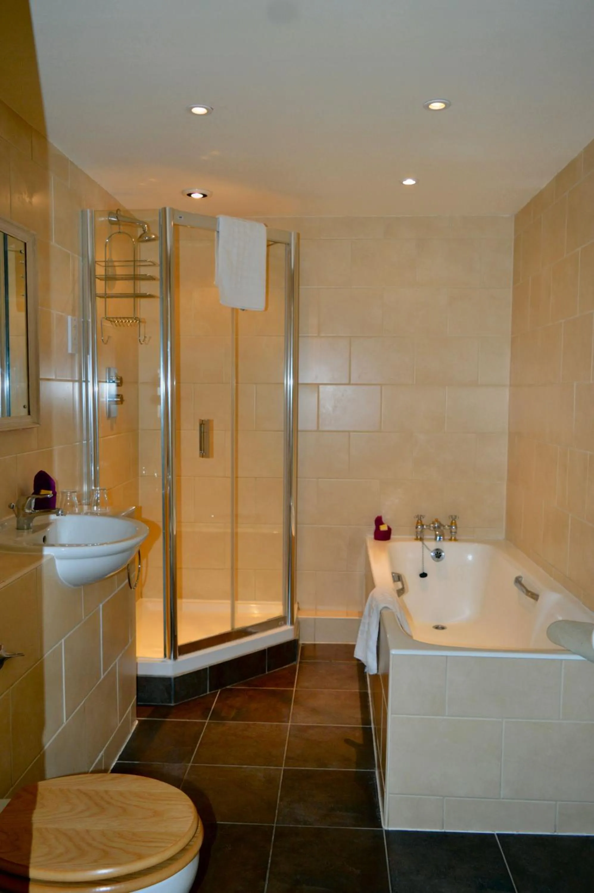 Bathroom in Lake Vyrnwy Hotel & Spa