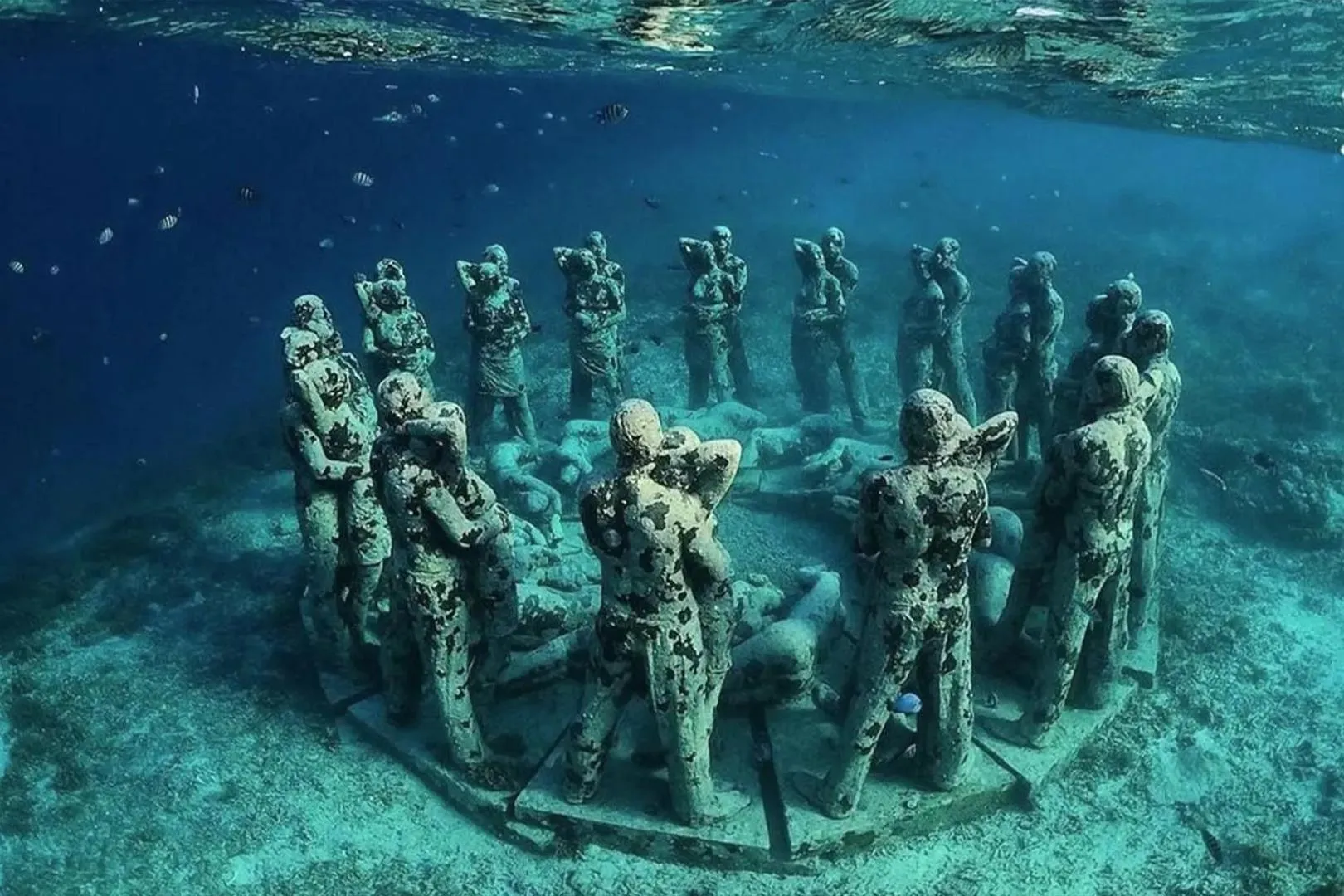 Activities in BASK Gili Meno