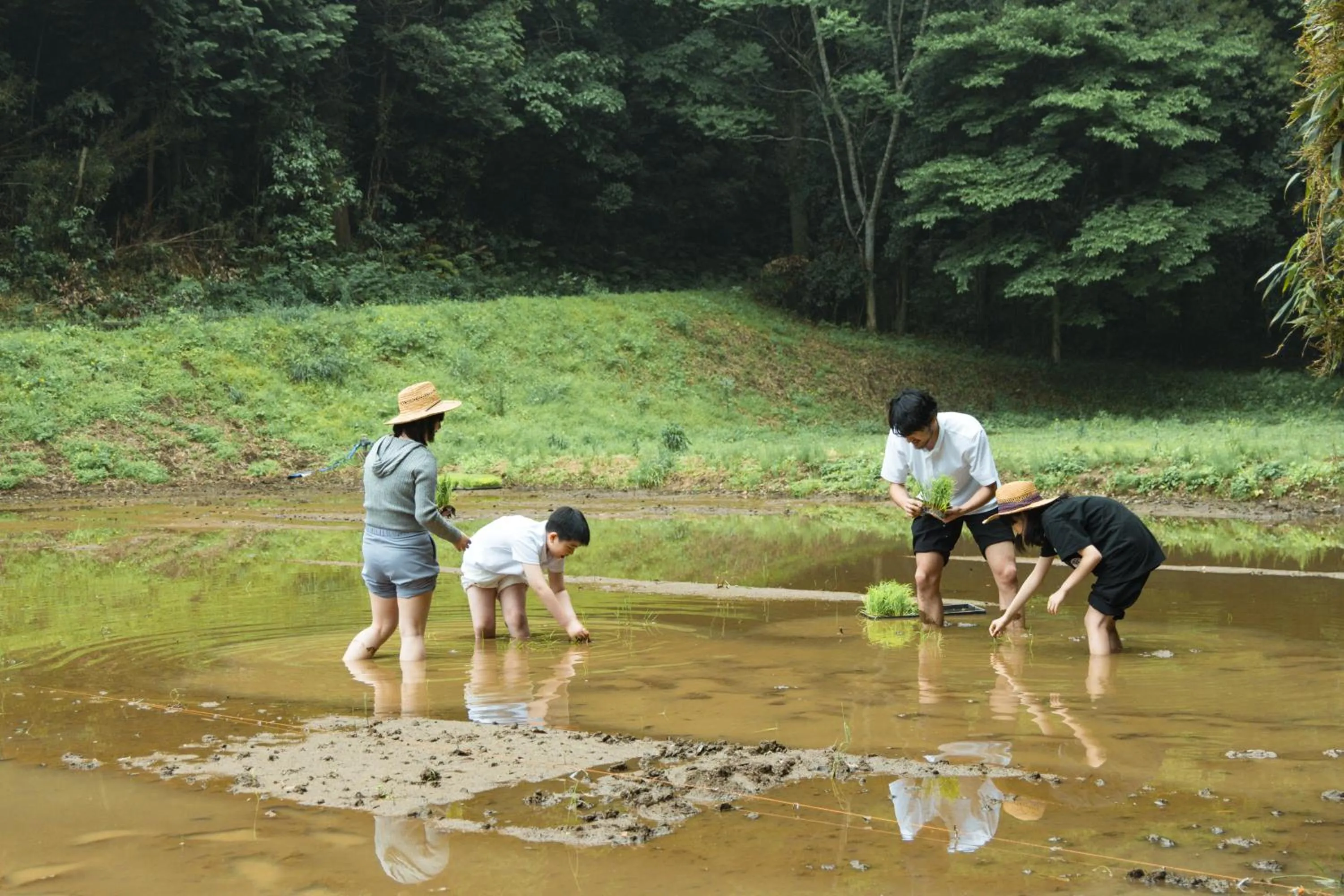 Spring in THE FARM Resort Japan